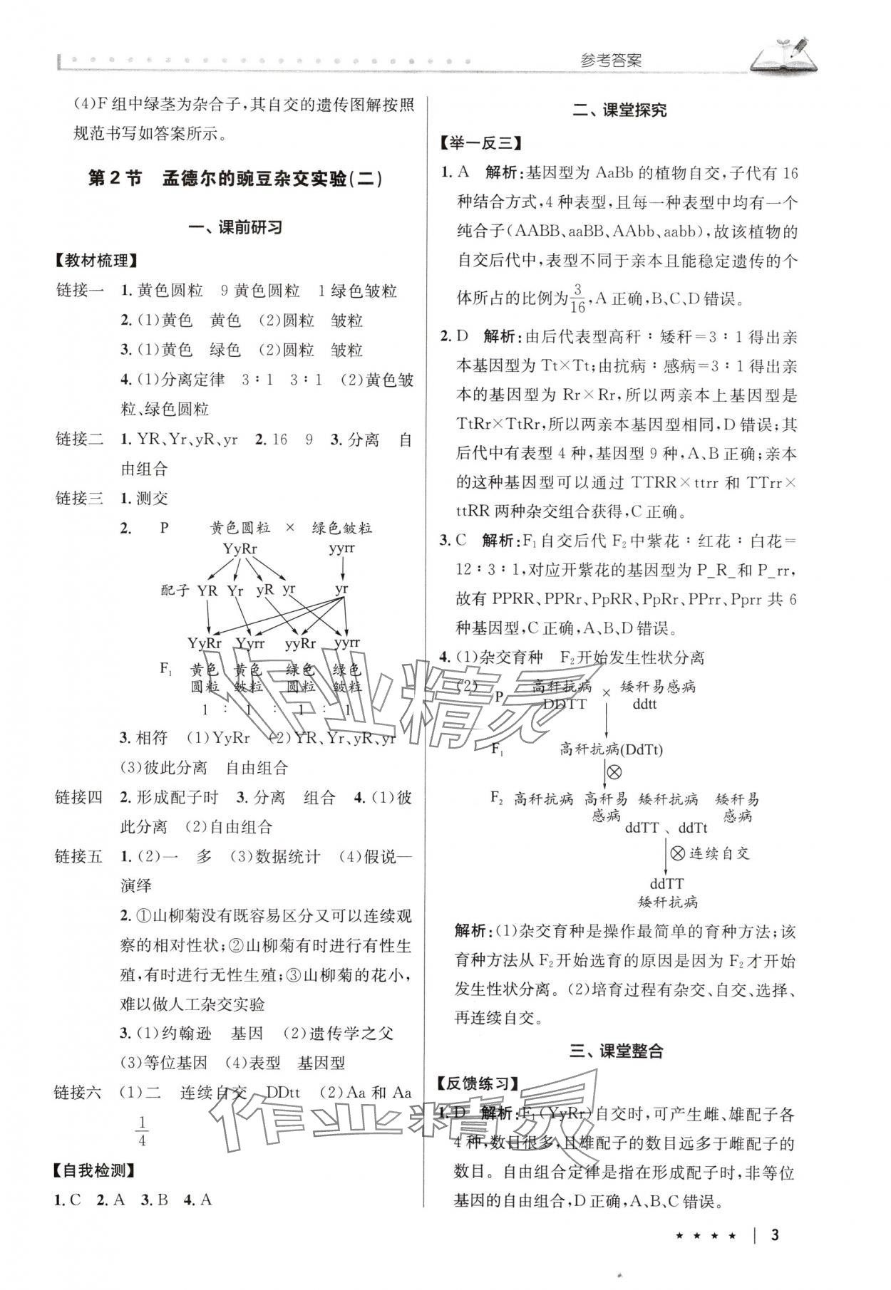 2025年墨池新學堂高中生物必修2人教版 參考答案第3頁