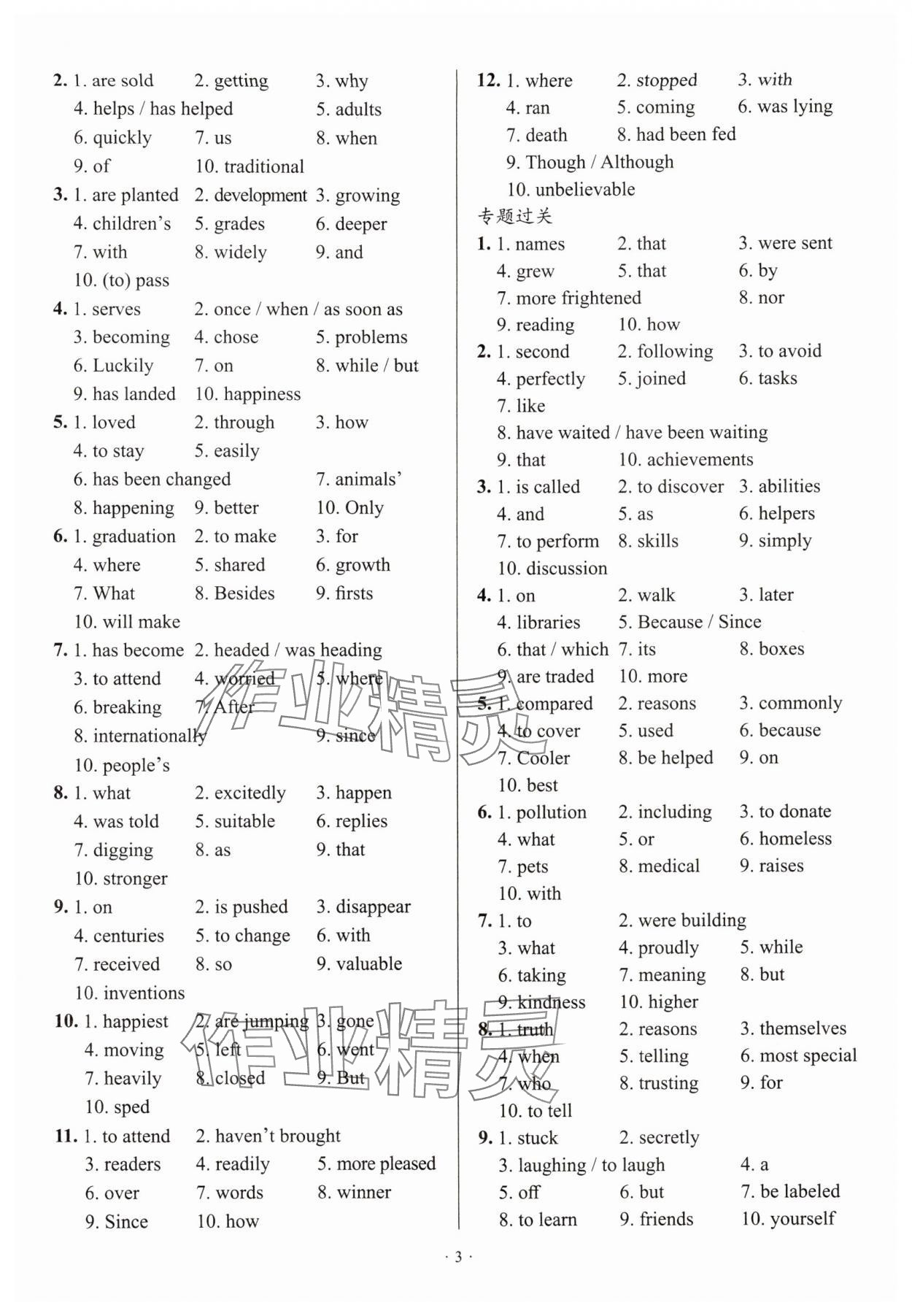 2025年天下中考專題總復(fù)習(xí)英語(yǔ) 參考答案第3頁(yè)