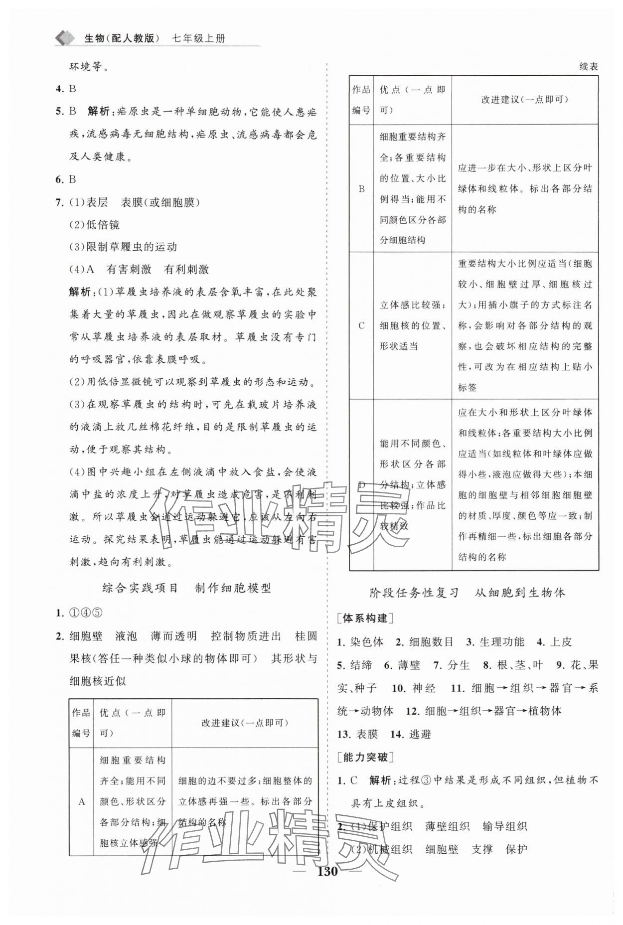 2025年新课程同步练习册七年级生物上册人教版&nbsp;第10页