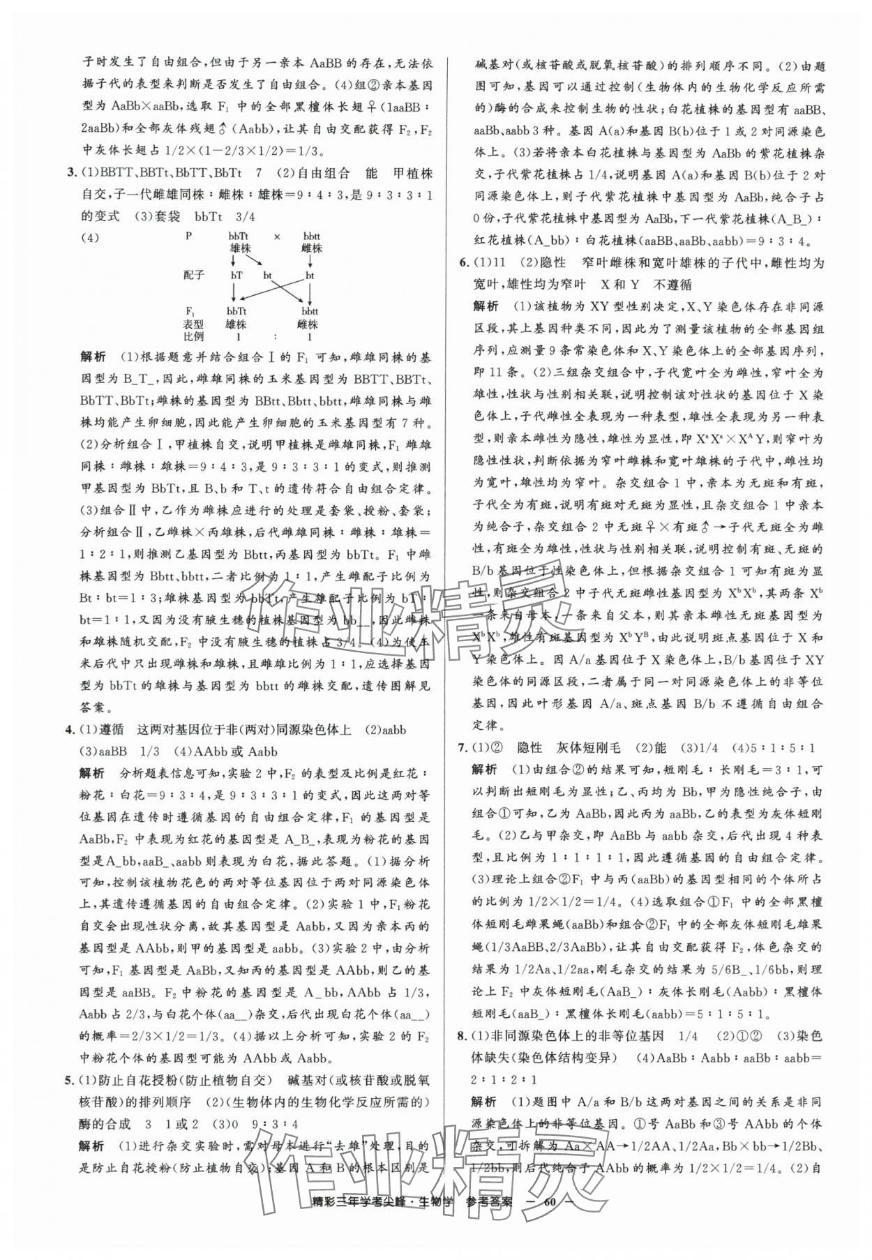 2025年精彩三年學考尖峰生物浙江專版 第14頁