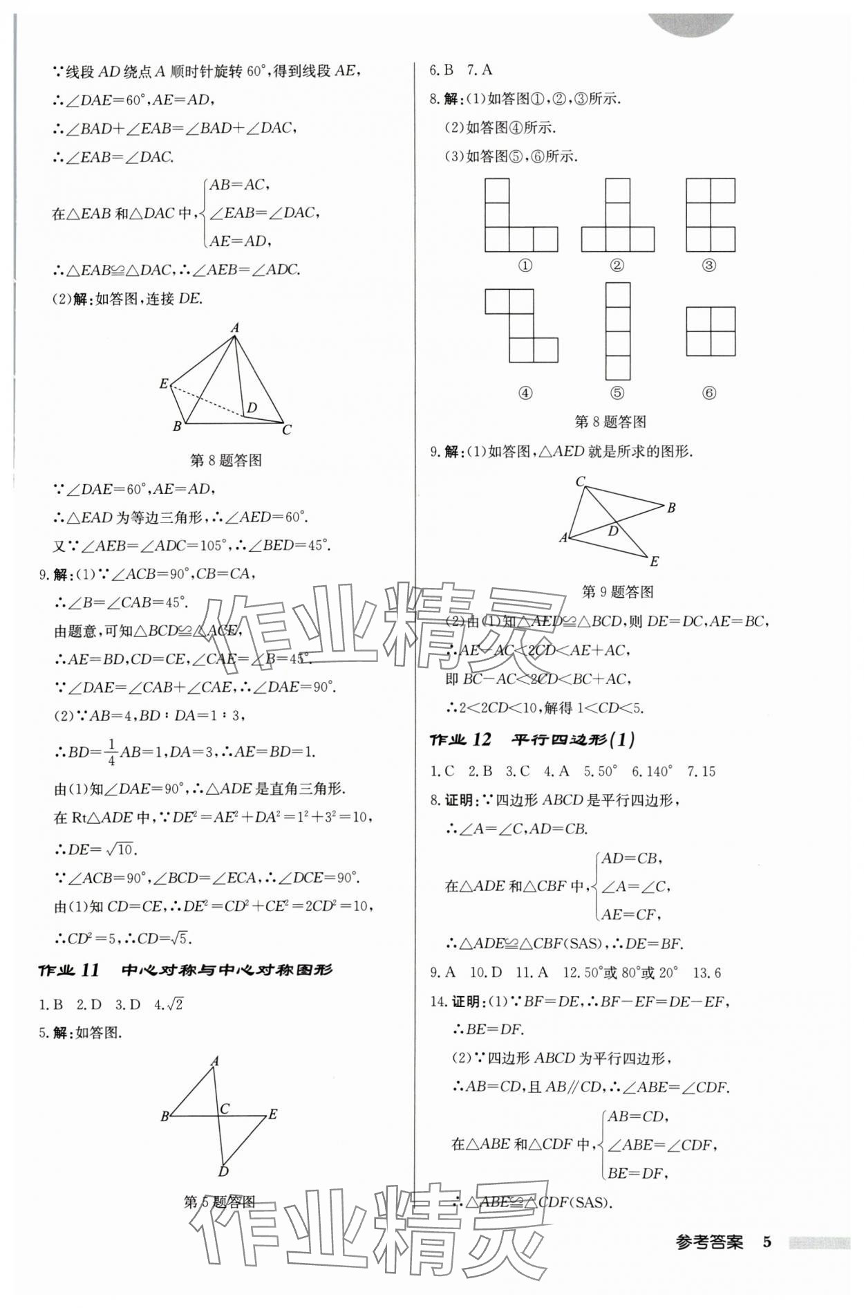 2024年启东中学作业本八年级数学下册苏科版徐州专版 参考答案第5页