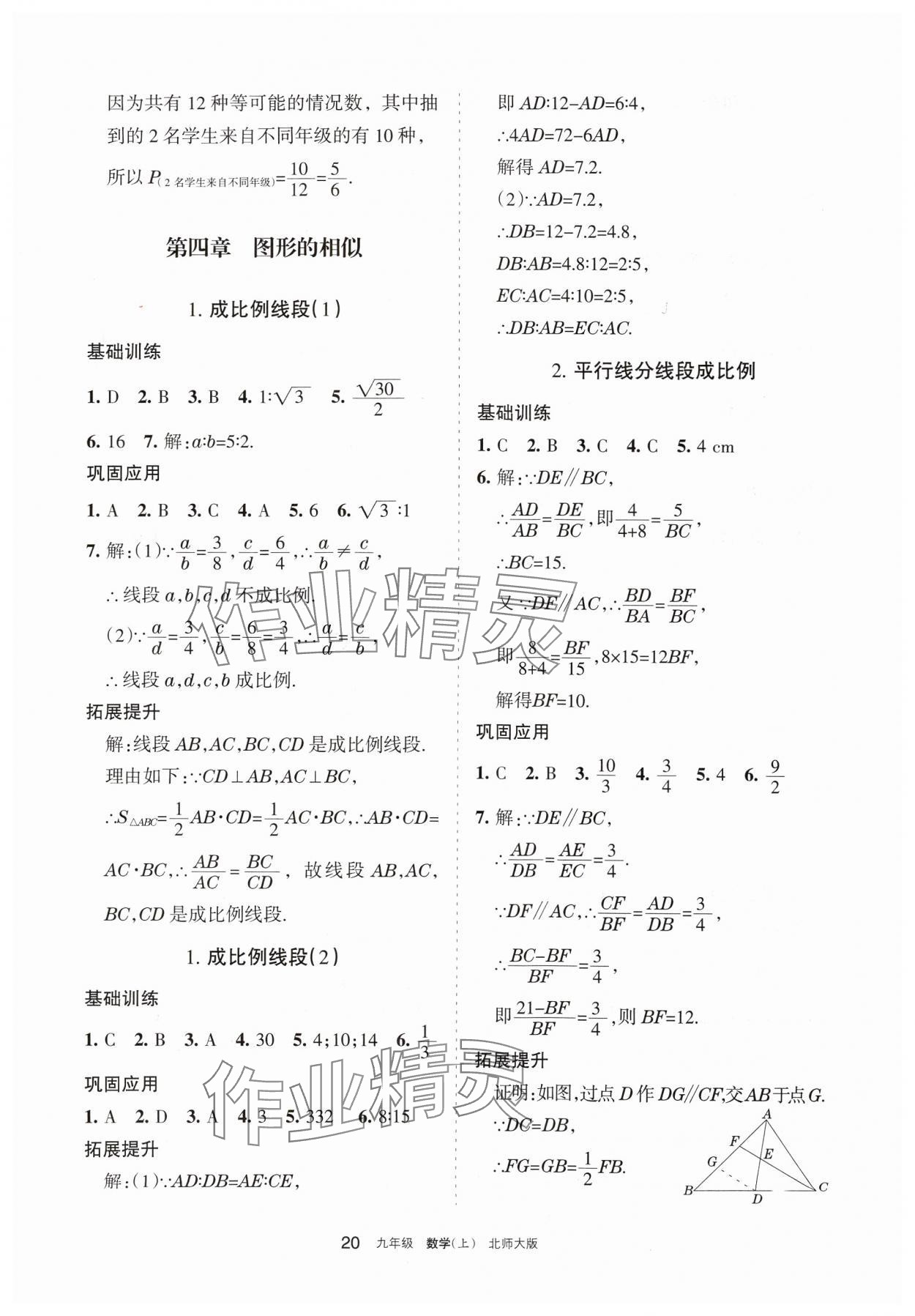 2024年学习之友九年级数学上册北师大版 参考答案第20页