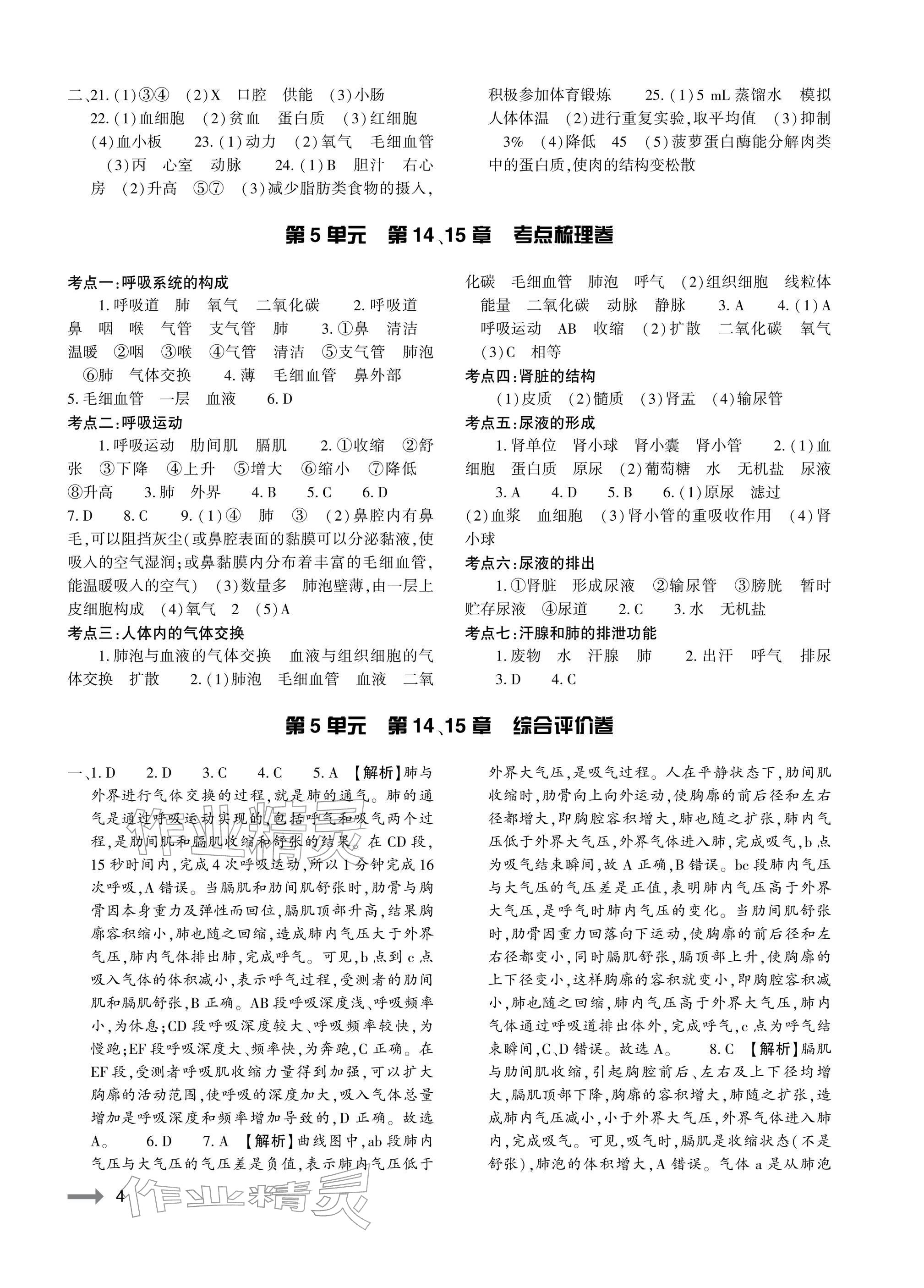 2025年节节高大象出版社八年级生物全一册苏教版 参考答案第4页