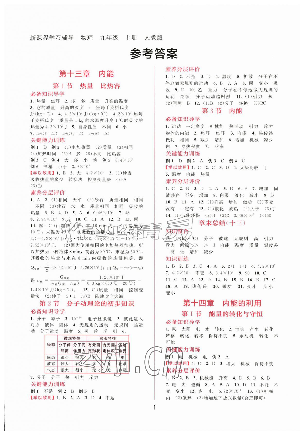 2026年新课程学习辅导九年级物理上册人教版&nbsp;第1页