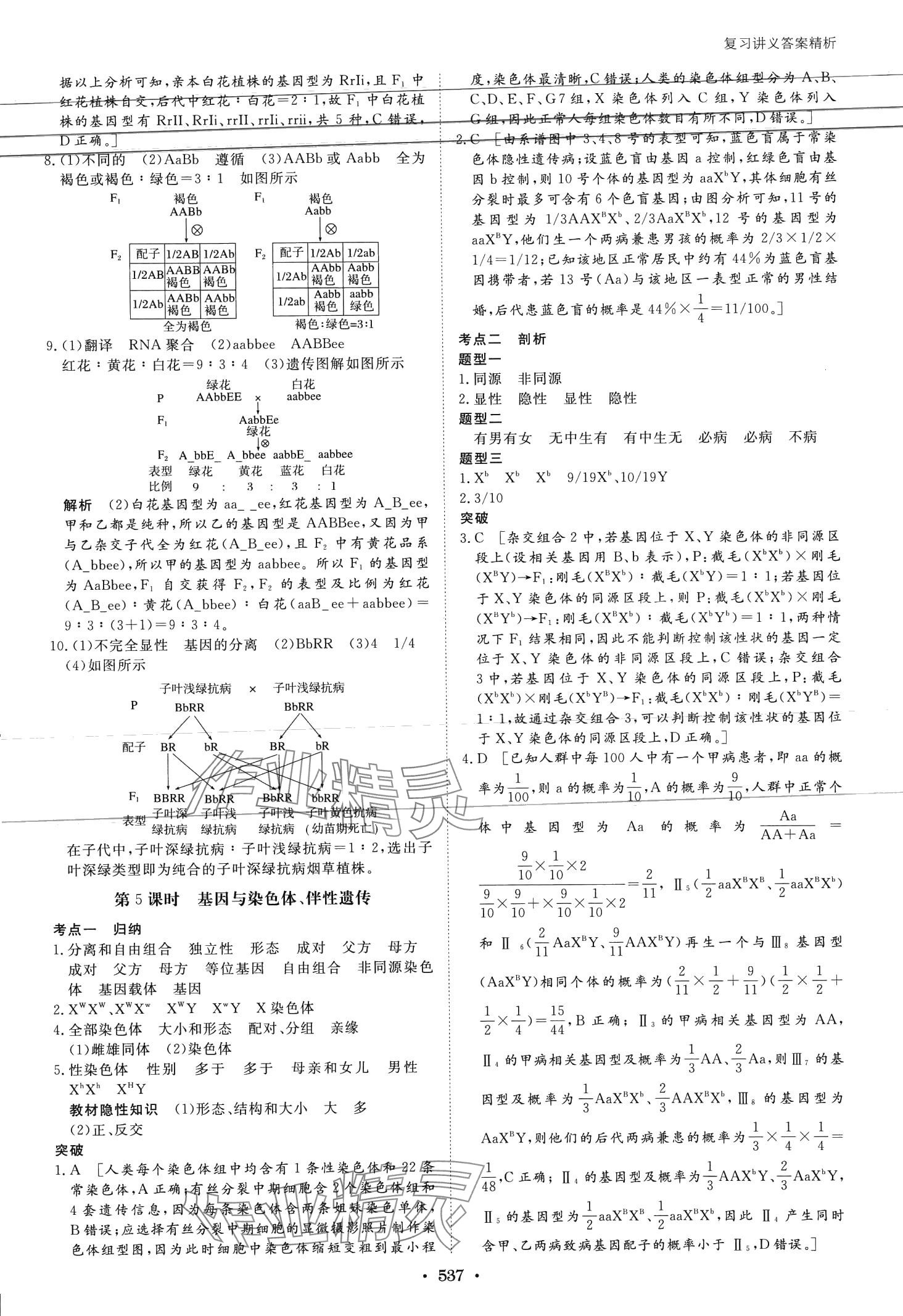 2024年步步高大一輪復(fù)習講義高中生物浙科版 第27頁