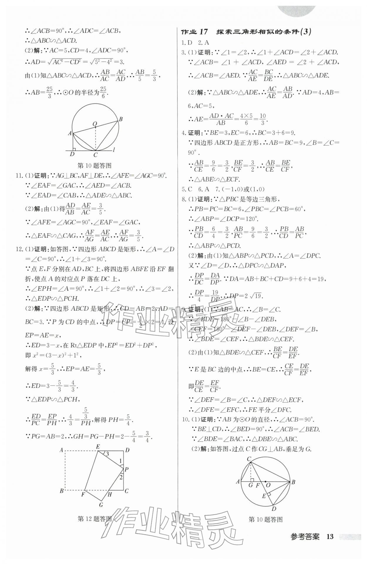 2026年啟東中學作業本九年級數學下冊蘇科版宿遷專版 第13頁