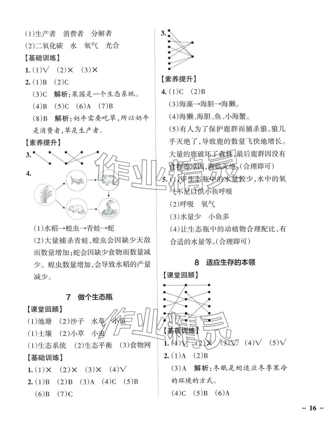 2024年小學學霸作業(yè)本六年級科學下冊蘇教版 第3頁