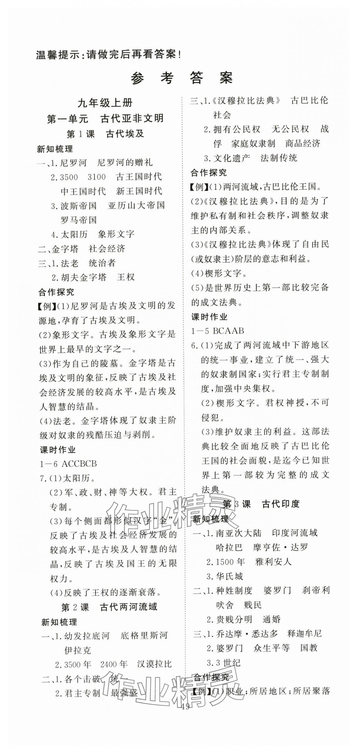 2025年351高效课堂导学案九年级历史全一册人教版 第1页