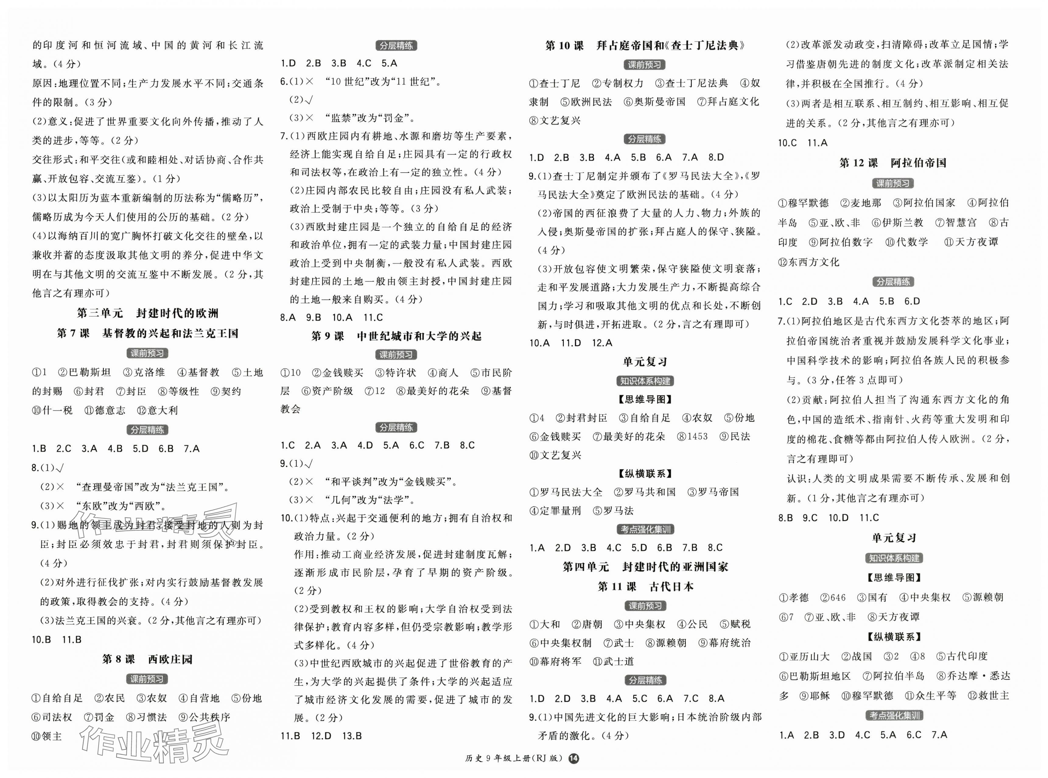 2025年一本同步训练初中历史九年级上册人教版安徽专版 第2页