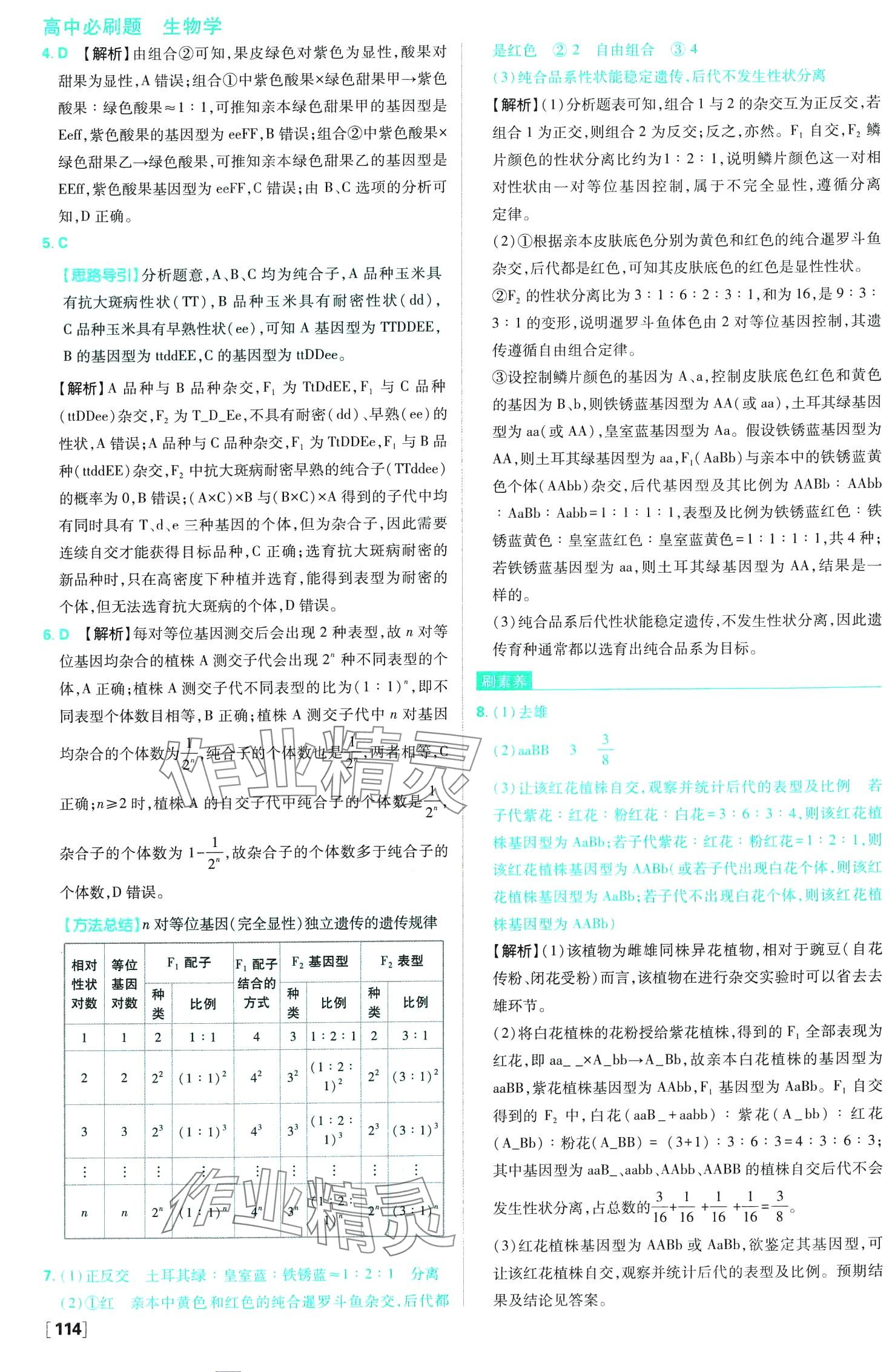 2024年高中必刷題高中生物必修2人教版 第9頁