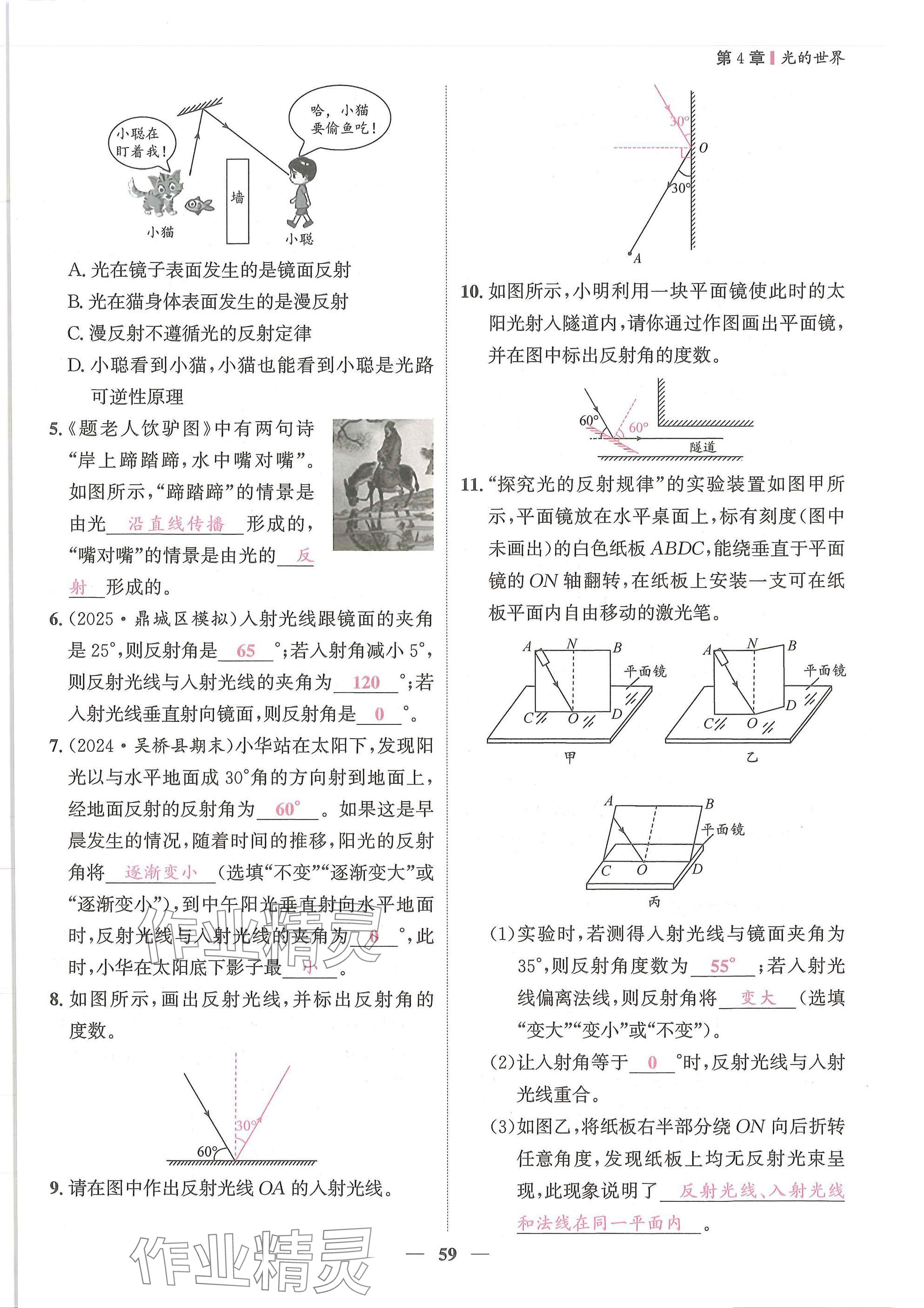 2025年物理学堂八年级上册教科版 参考答案第59页