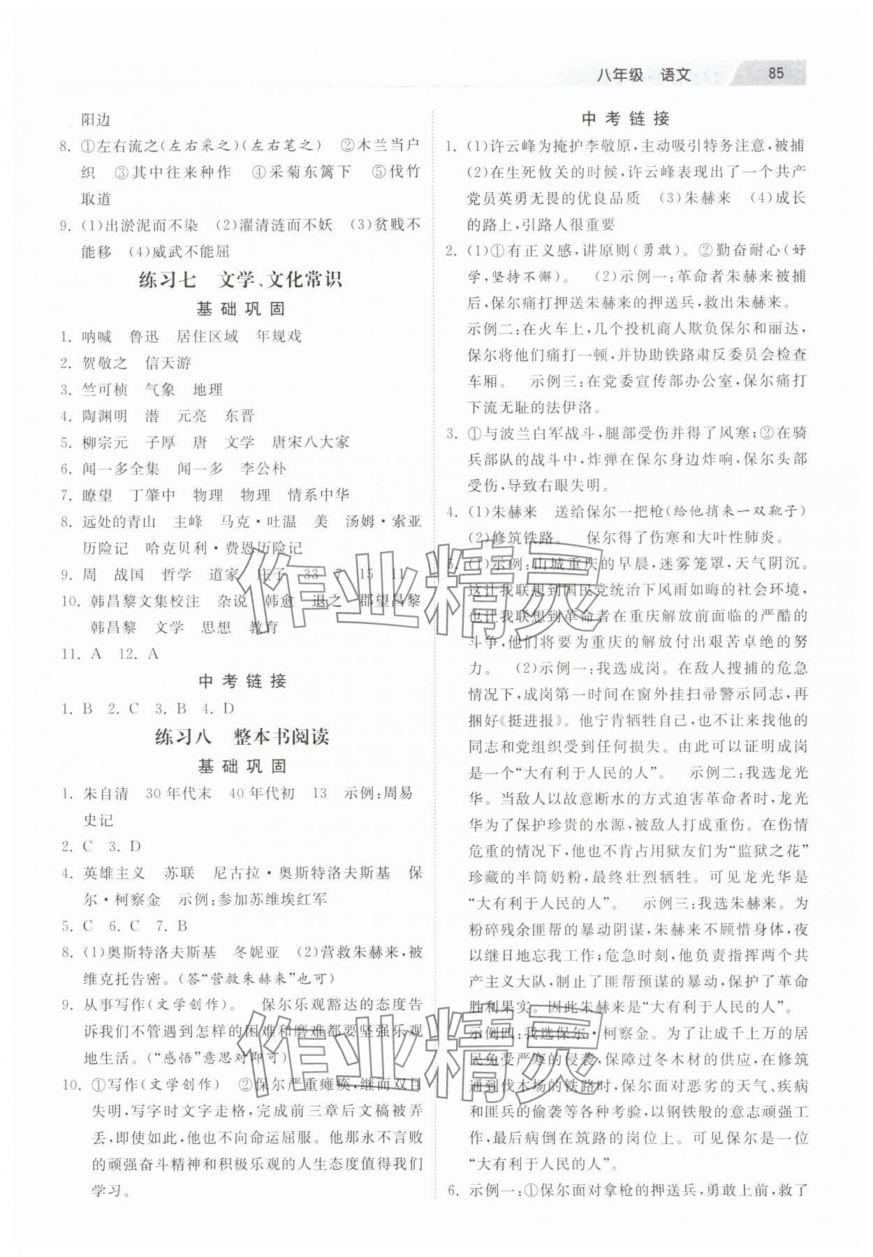 2025年暑假生活河北美術(shù)出版社八年級(jí)語(yǔ)文 第3頁(yè)