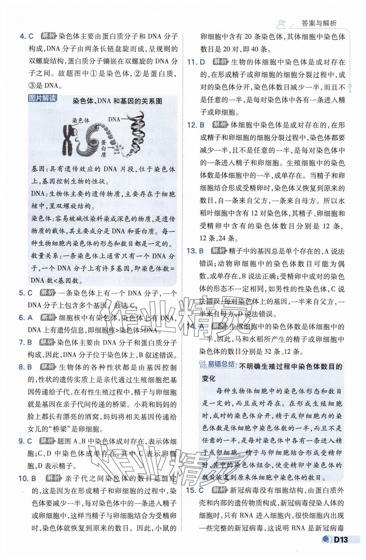2025年少年班八年級(jí)生物下冊(cè)人教版 第13頁(yè)
