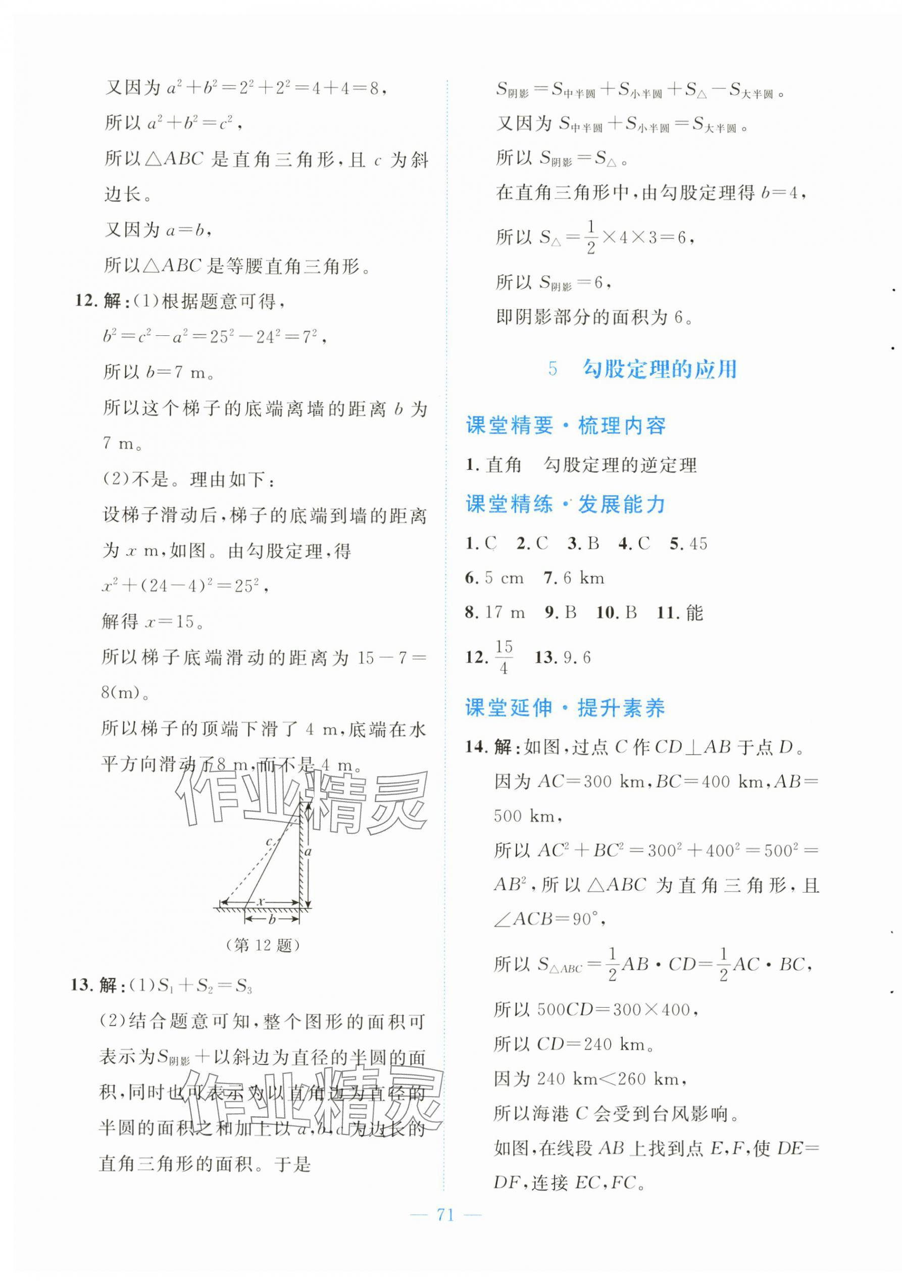 2025年課堂精練八年級數(shù)學上冊北師大版大慶專版 第3頁