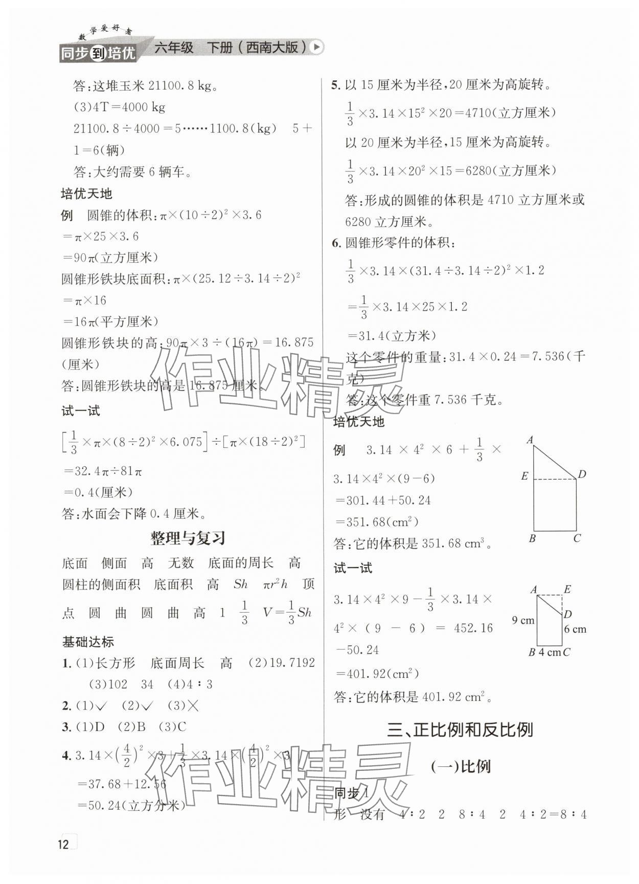 2025年數學愛好者同步到培優六年級下冊西師大版 第12頁