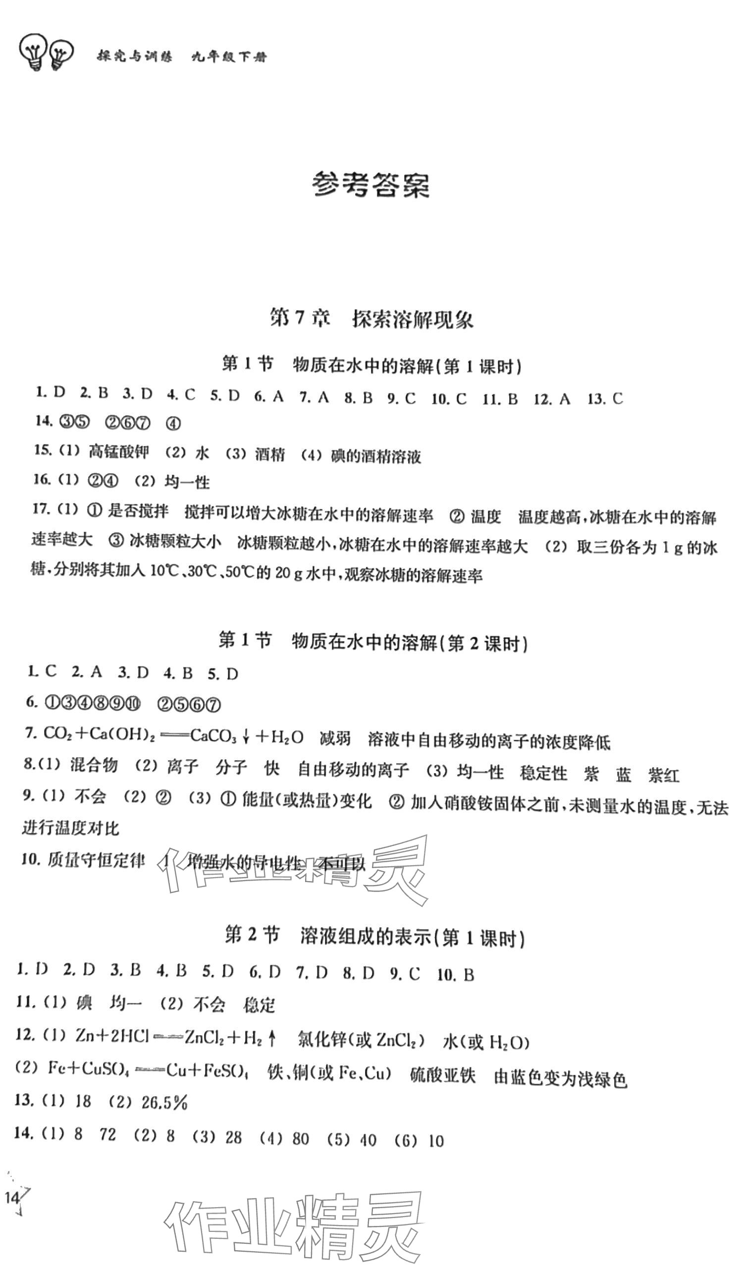 2025年探究与训练九年级化学下册沪教版 参考答案第1页