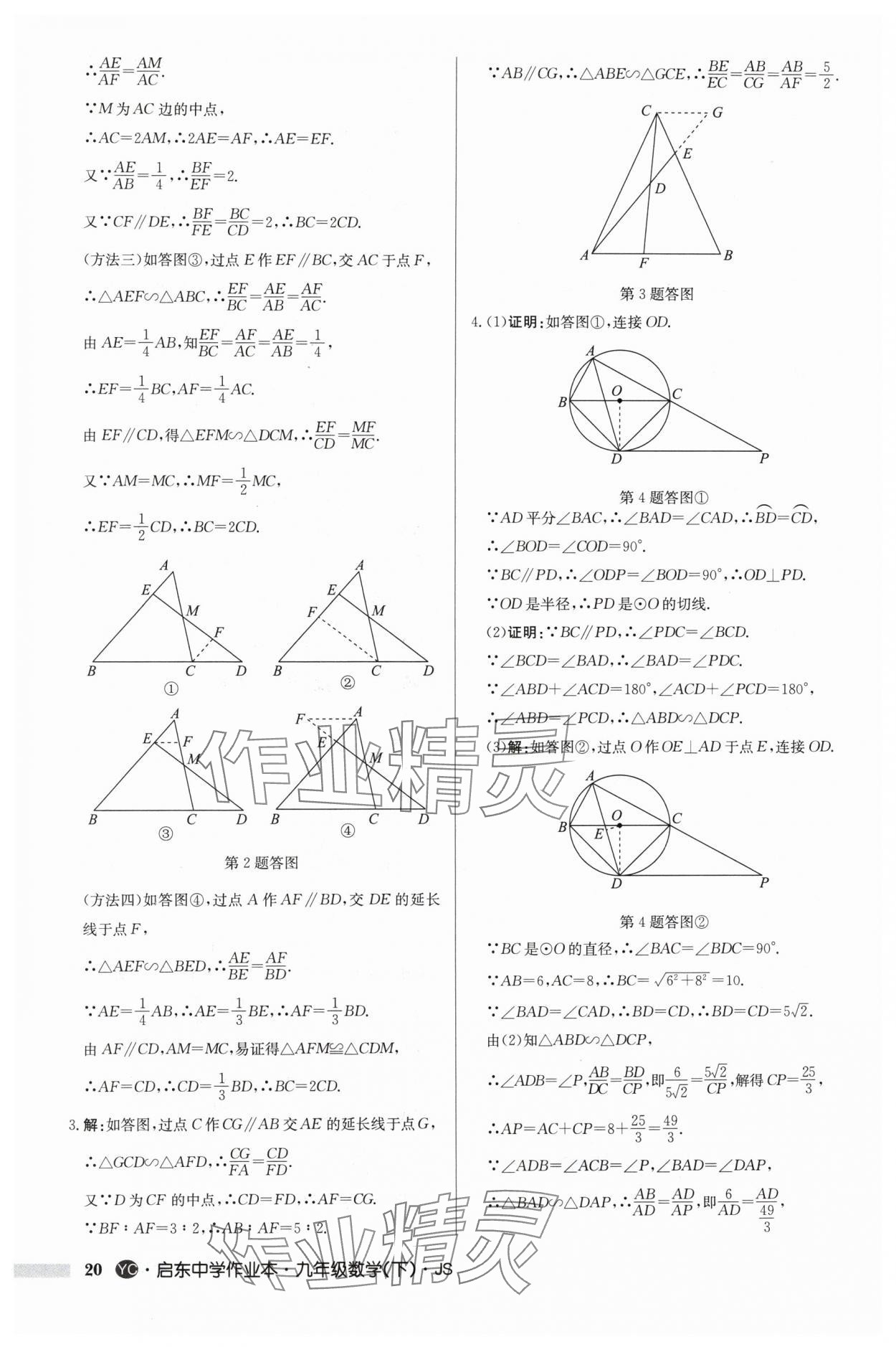 2024年启东中学作业本九年级数学下册苏科版盐城专版 参考答案第20页