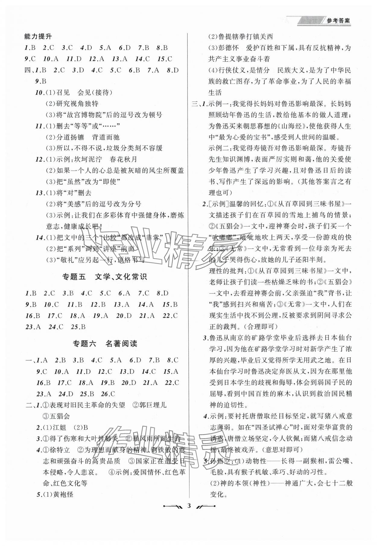 2025年中考全程復習訓練語文大連專版 第3頁