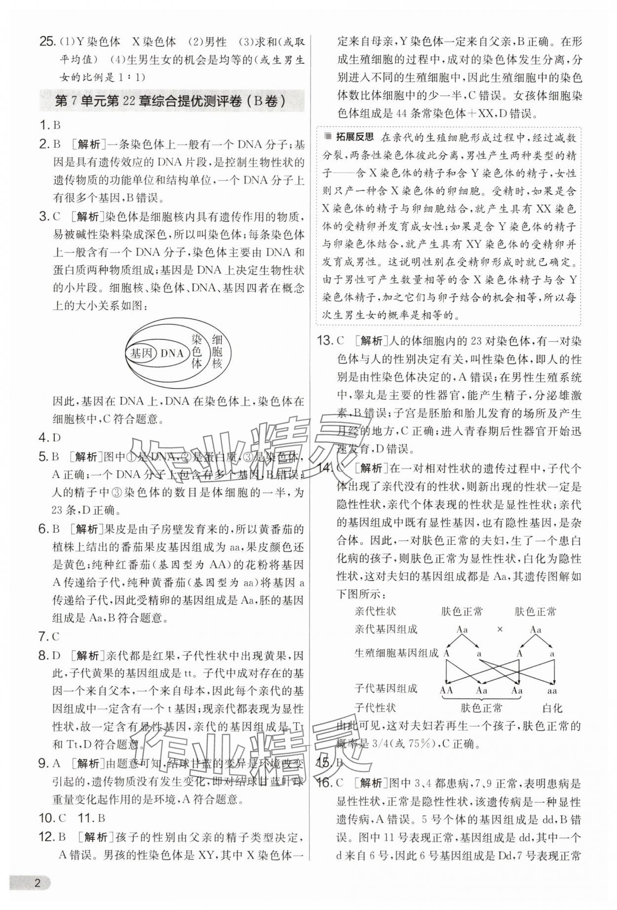 2025年单元双测全程提优测评卷八年级生物下册苏科版 第2页