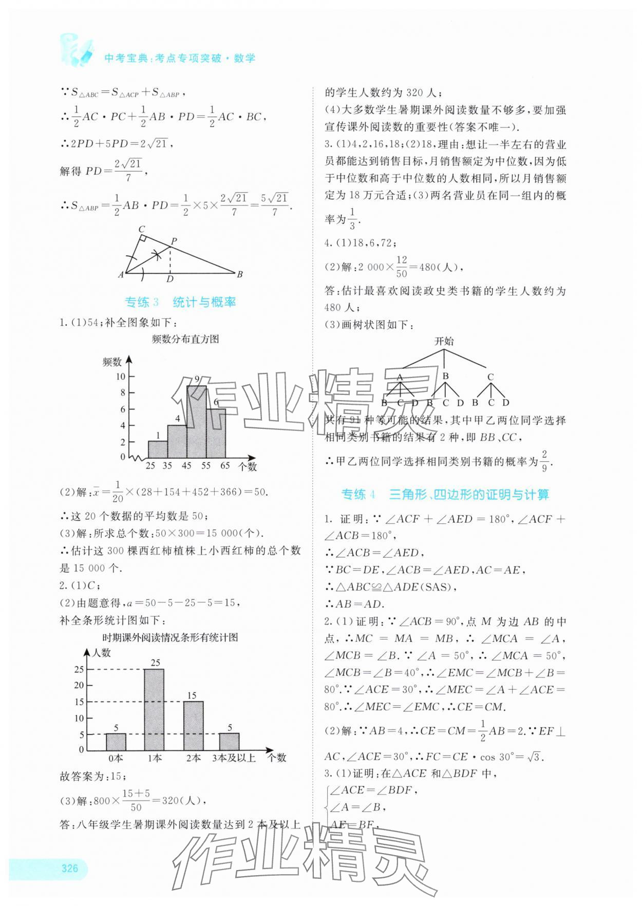 2024年中考寶典考點專項突破數(shù)學(xué)廣西專版 參考答案第19頁