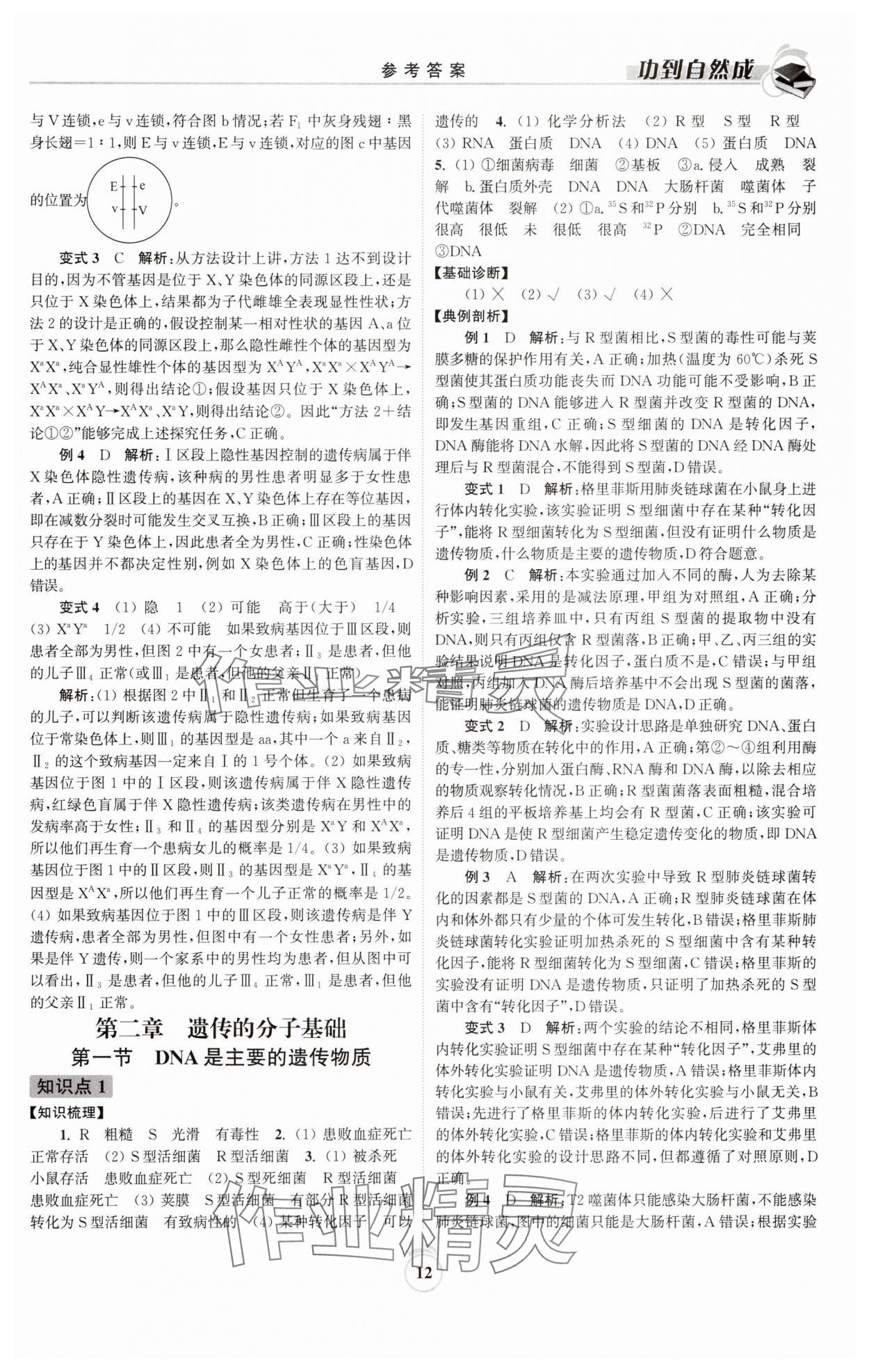 2025年功到自然成高中生物必修2蘇教版 參考答案第12頁