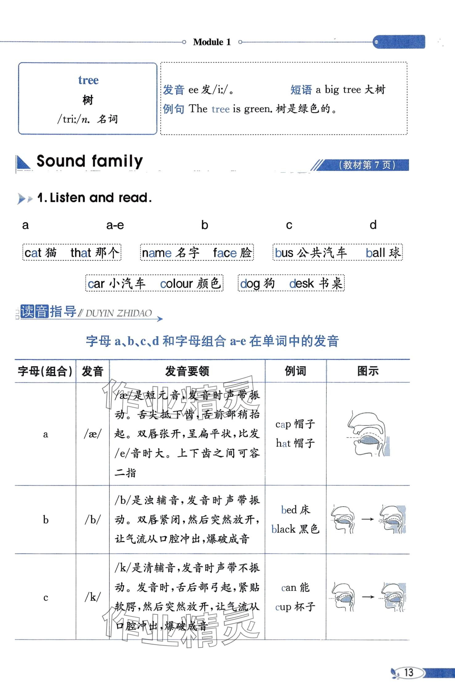 2024年教材課本三年級(jí)英語(yǔ)下冊(cè)教科版 第13頁(yè)