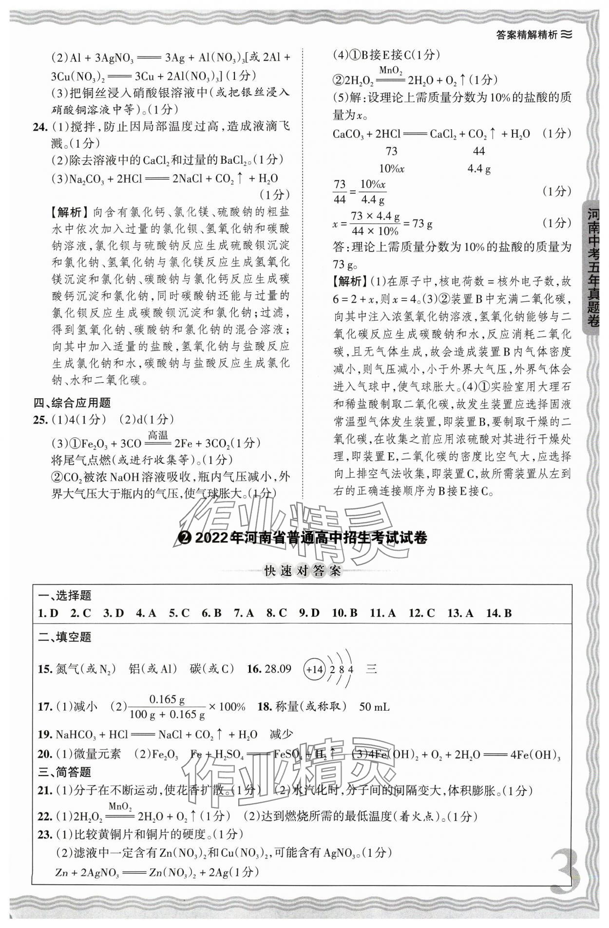 2024年王朝霞中考真題精編化學(xué)河南中考 參考答案第3頁