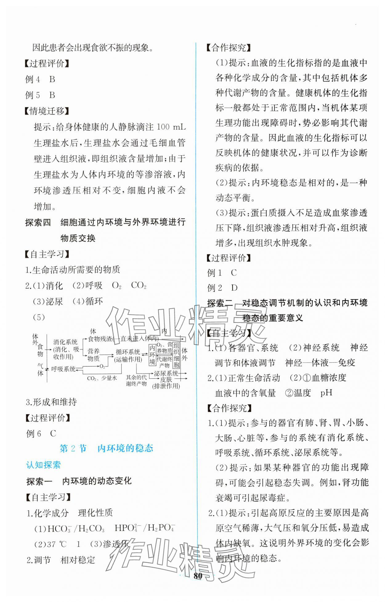 2023年課時練新課程學習評價方案高中生物選擇性必修1人教版增強版 第2頁