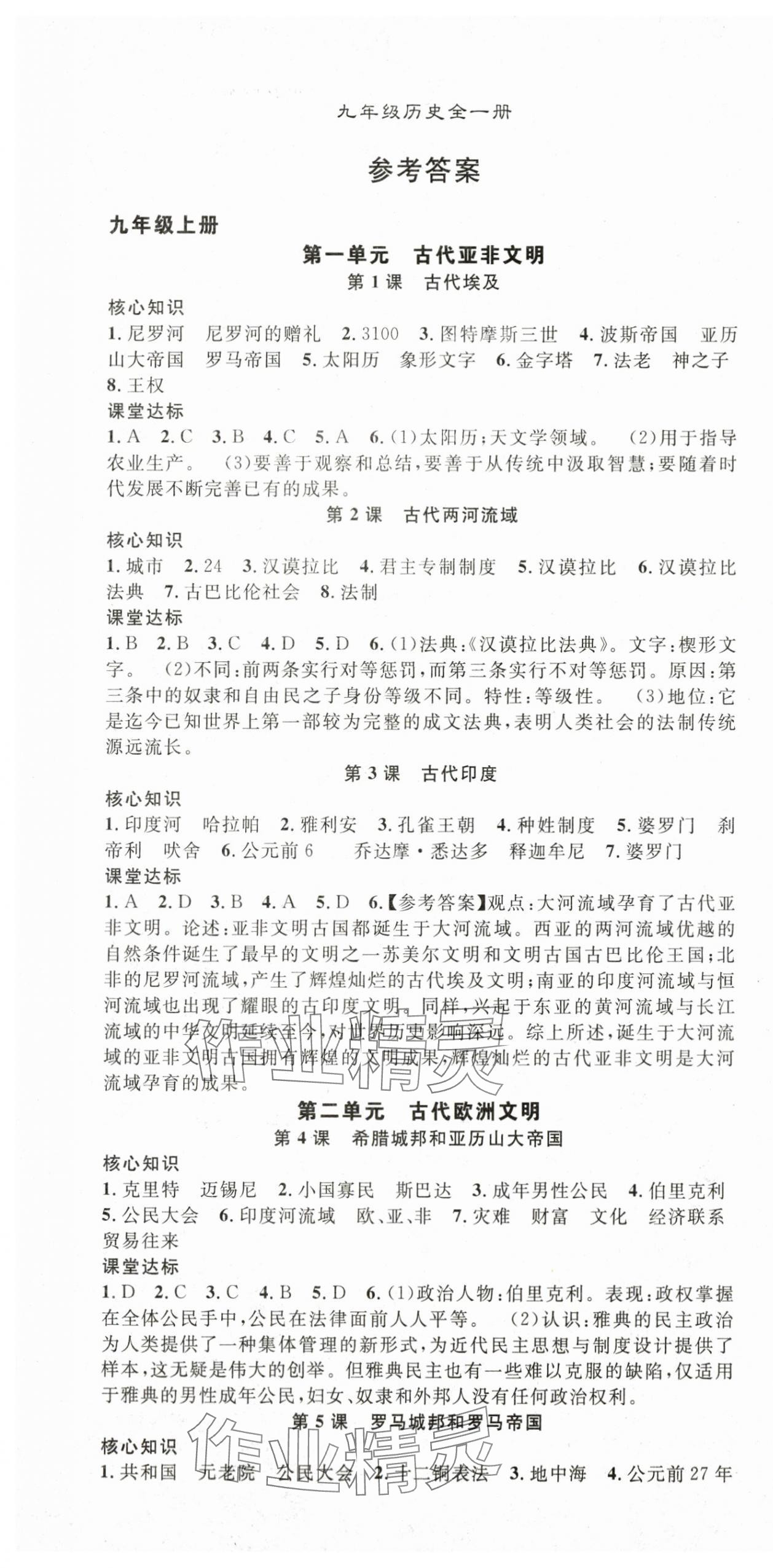 2025年名師學(xué)案九年級歷史全一冊 第1頁