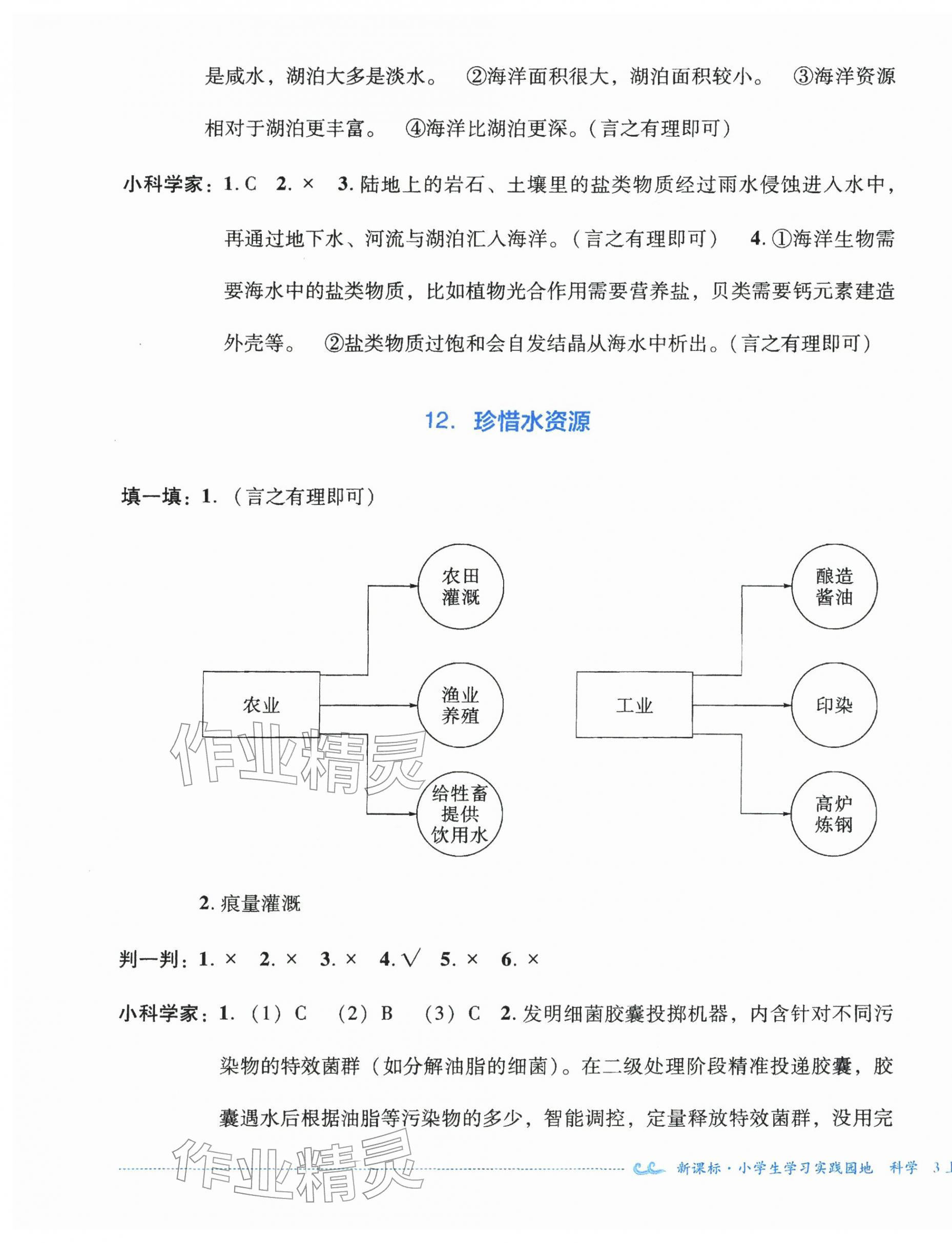 2025年学习实践园地三年级科学上册苏教版&nbsp;第5页