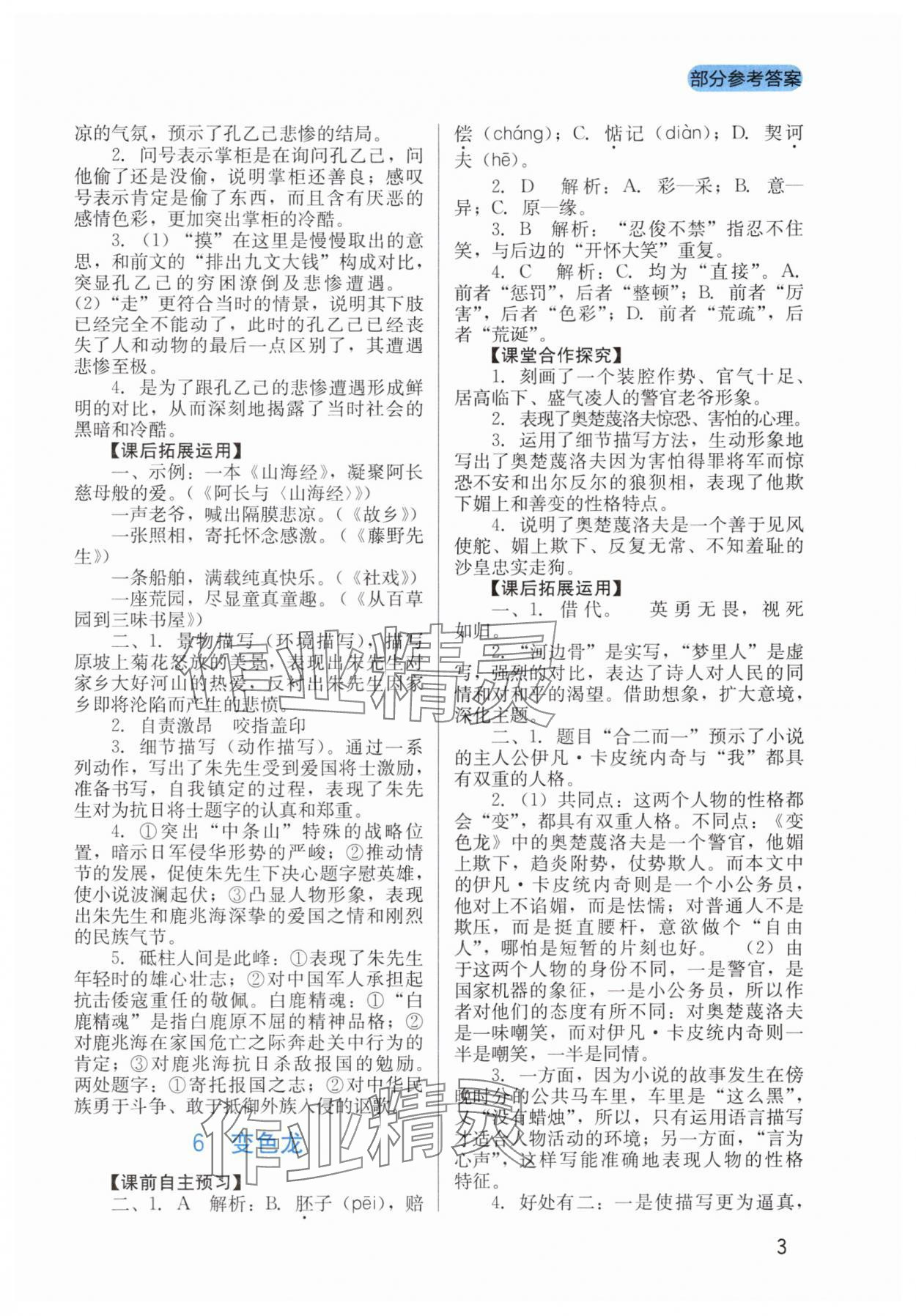 2025年新課程實(shí)踐與探究叢書九年級語文下冊人教版 第3頁