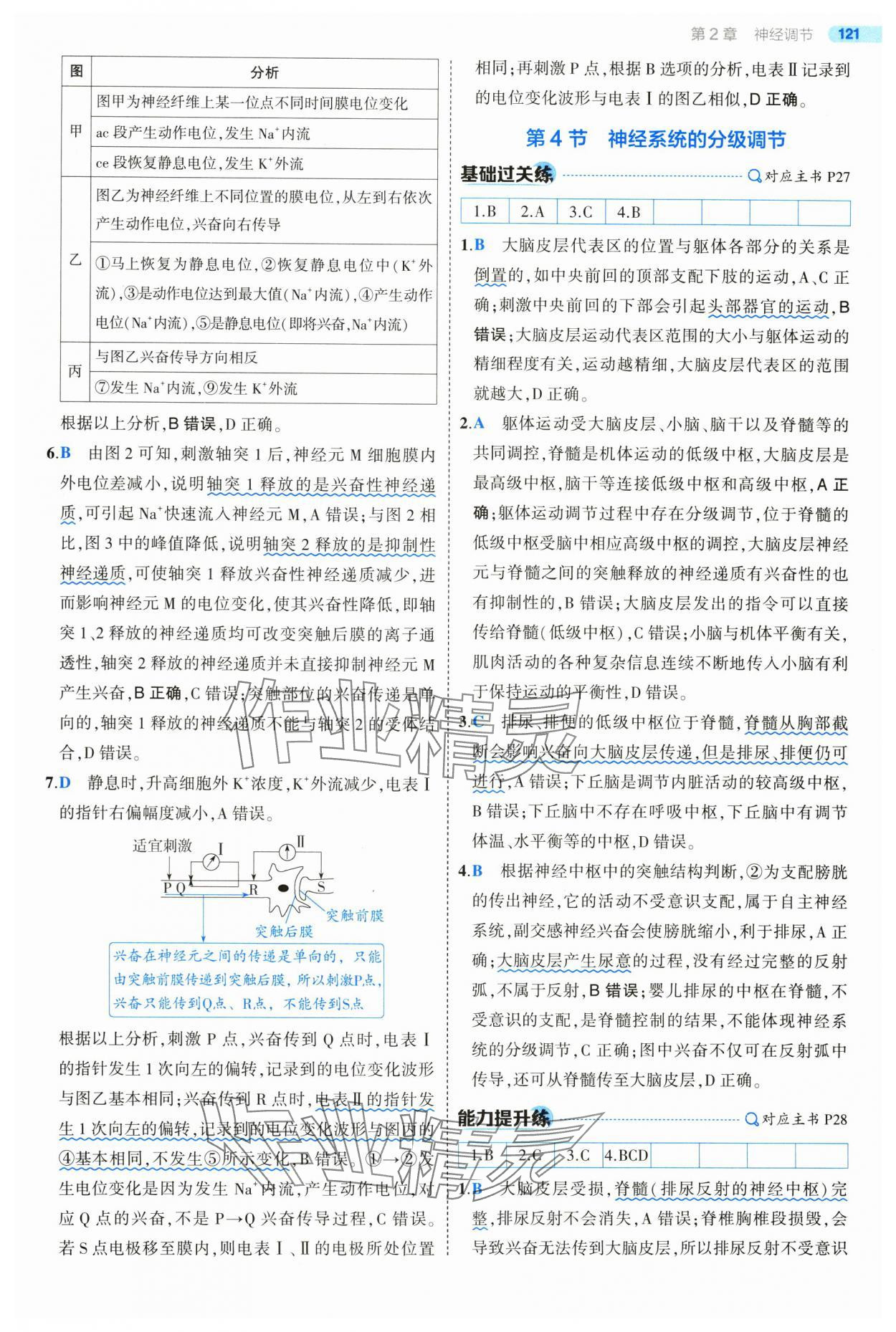 2025年5年高考3年模擬高中生物選擇性必修1人教版 第19頁
