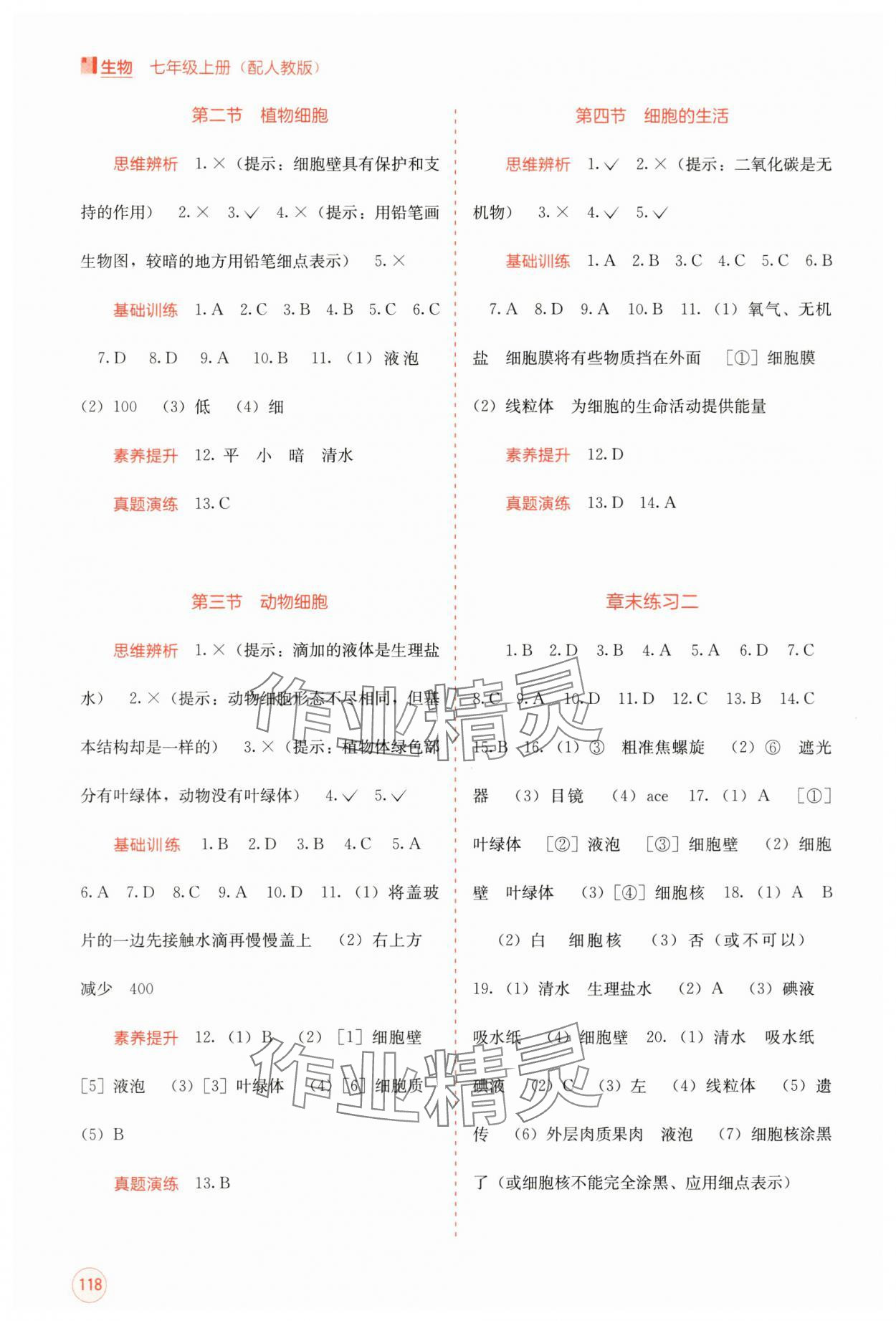 2024年自主學習能力測評七年級生物上冊人教版 第2頁