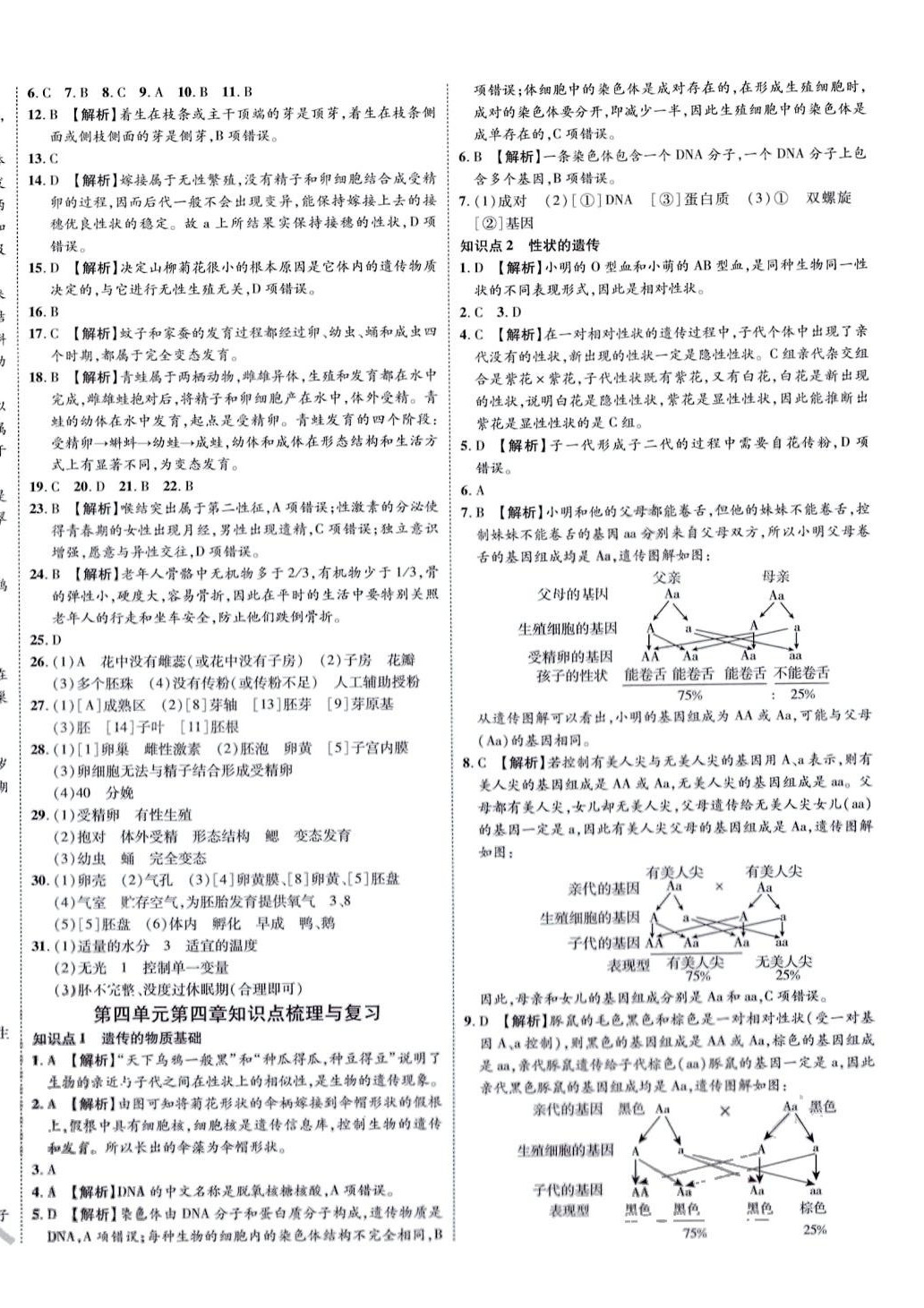 2024年魯人泰斗全程復習大考卷八年級生物全一冊濟南版 第4頁