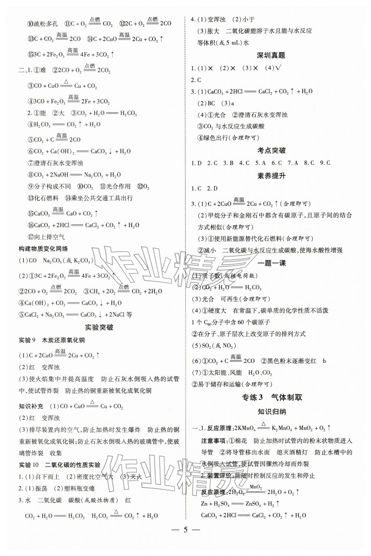 2026年领跑中考化学深圳专版&nbsp;第5页