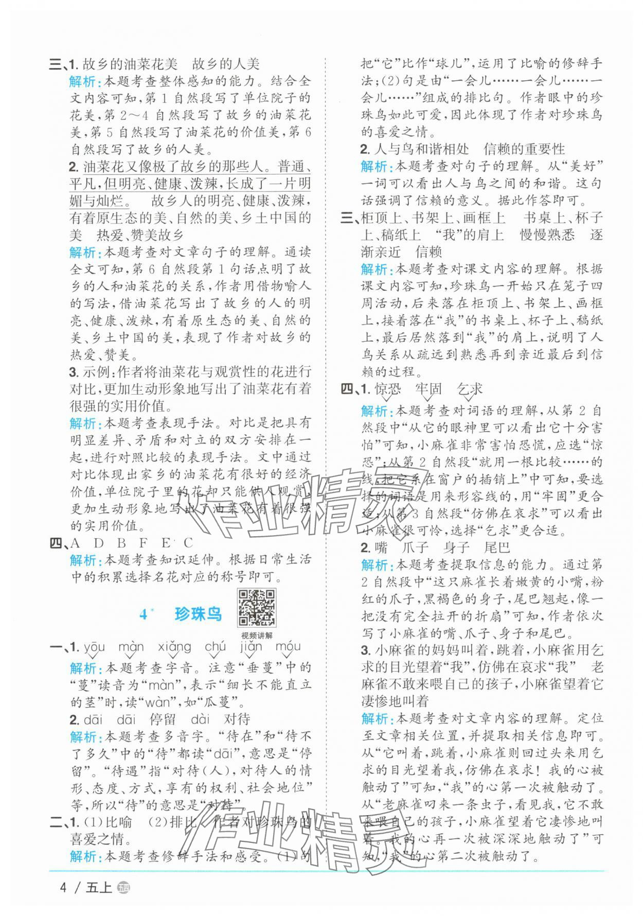 2025年陽(yáng)光同學(xué)課時(shí)優(yōu)化作業(yè)五年級(jí)語(yǔ)文上冊(cè)人教版五四制 第4頁(yè)