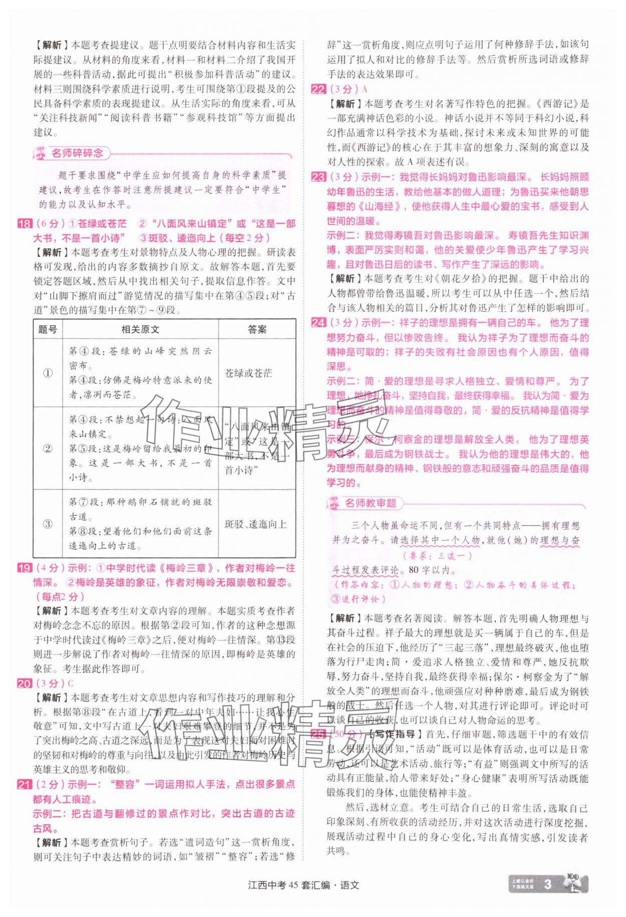 2025年金考卷中考45套汇编语文江西专版 参考答案第3页