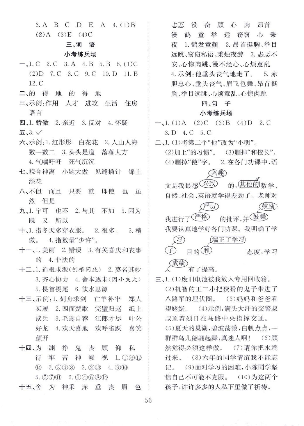 2024年小考專家小學(xué)畢業(yè)總復(fù)習(xí)語(yǔ)文 第2頁(yè)