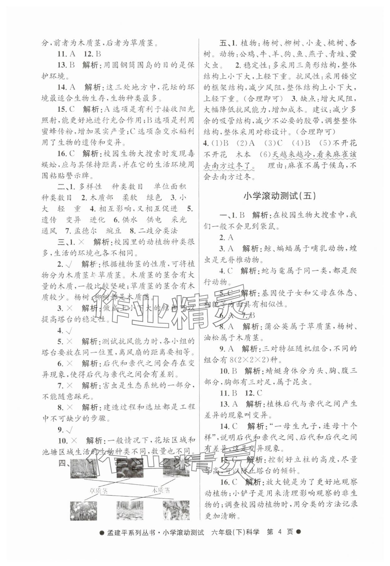 2025年孟建平小學滾動測試六年級科學下冊教科版 第4頁