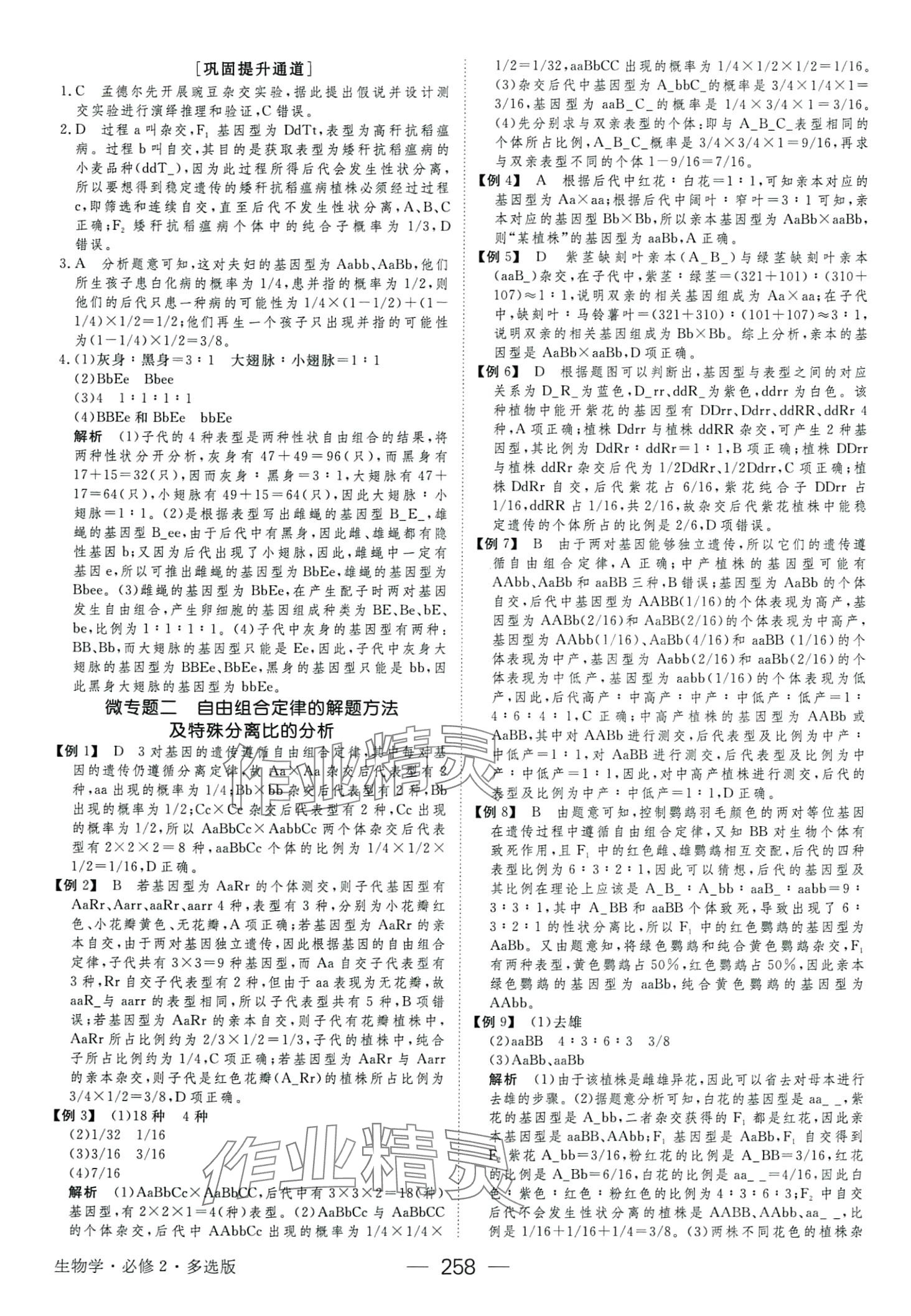 2024年綠色通道高中生物必修2人教版 第6頁