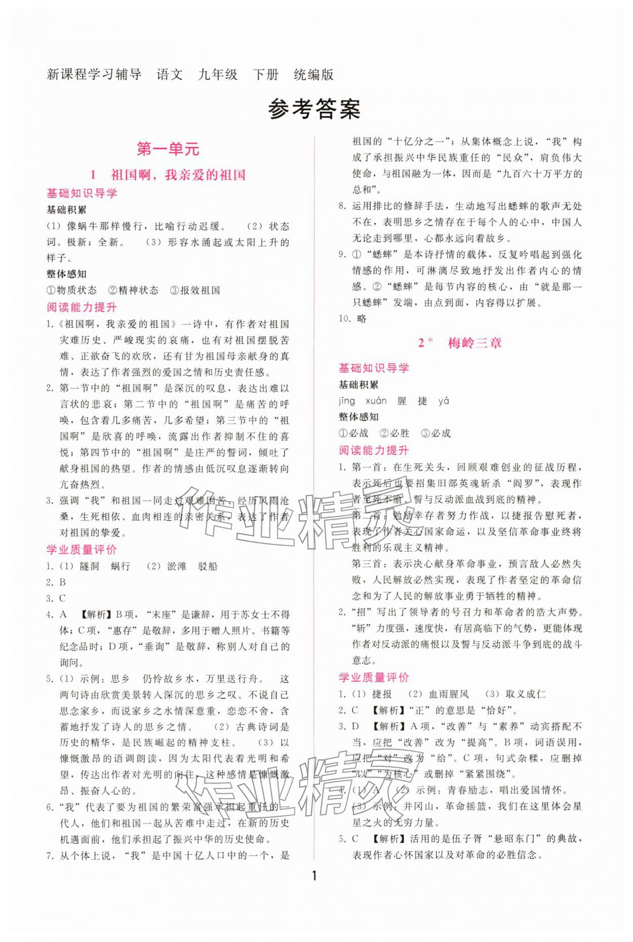 2026年新课程学习辅导九年级语文下册人教版&nbsp;第1页