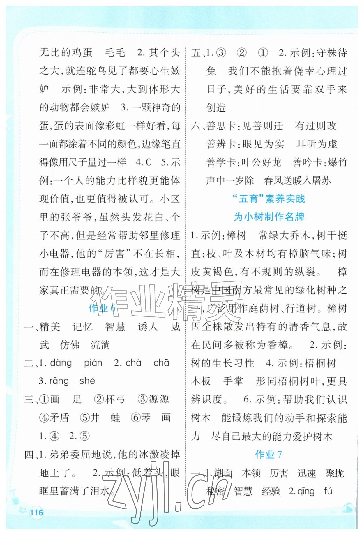 2026年新领程暑假作业三年级综合通用版&nbsp;参考答案第3页