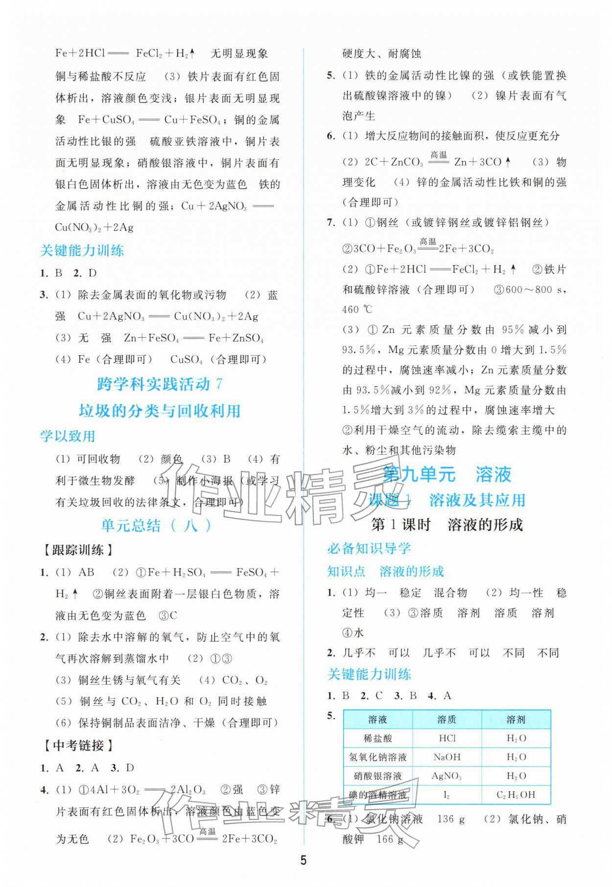 2026年同步轻松练习九年级化学下册人教版&nbsp;第5页