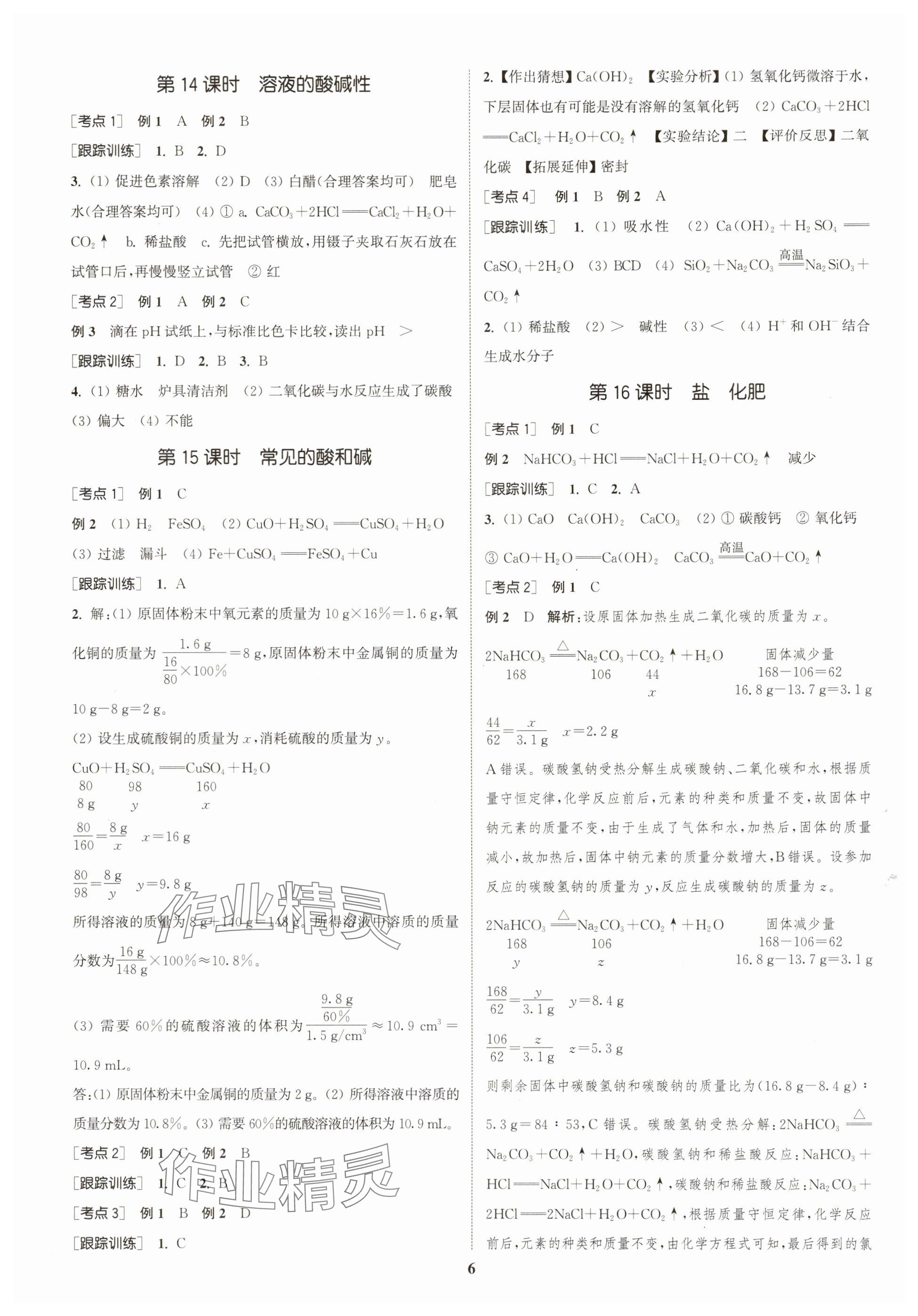 2025年通城学典中考总复习化学江苏专版 参考答案第6页