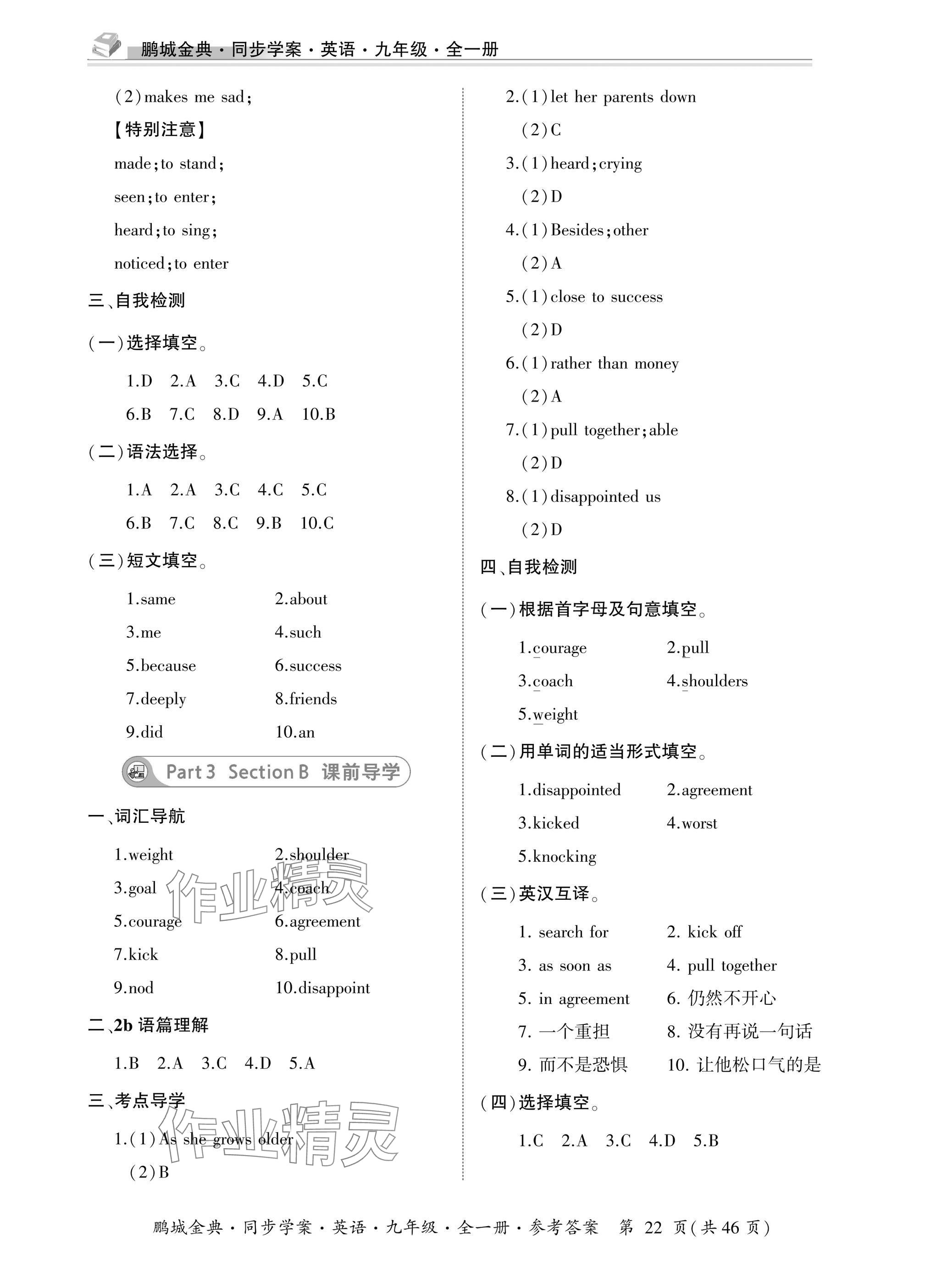 2025年名师帮同步学案九年级英语全一册人教版 参考答案第22页