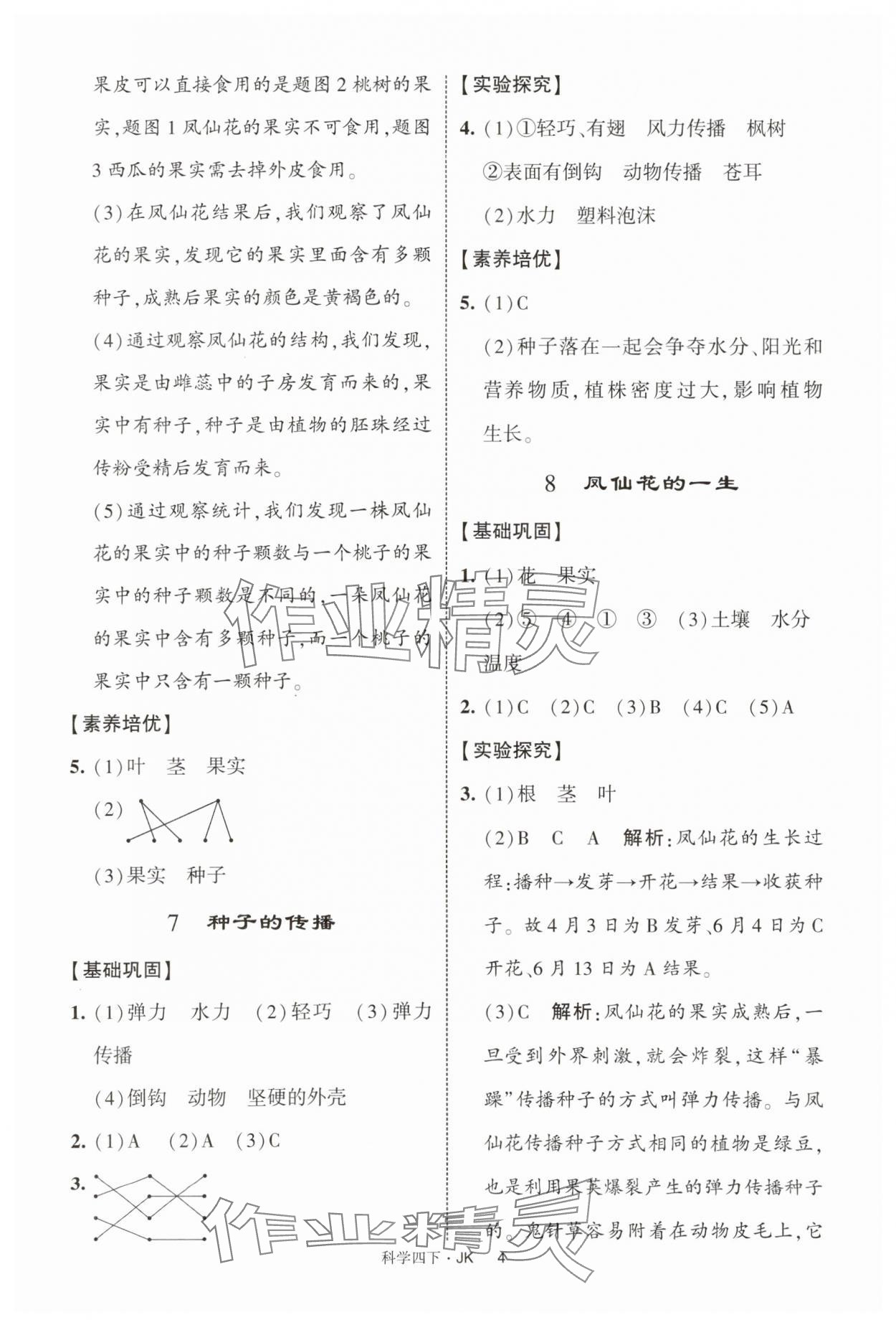 2025年經綸學典提高班四年級科學下冊教科版 第4頁