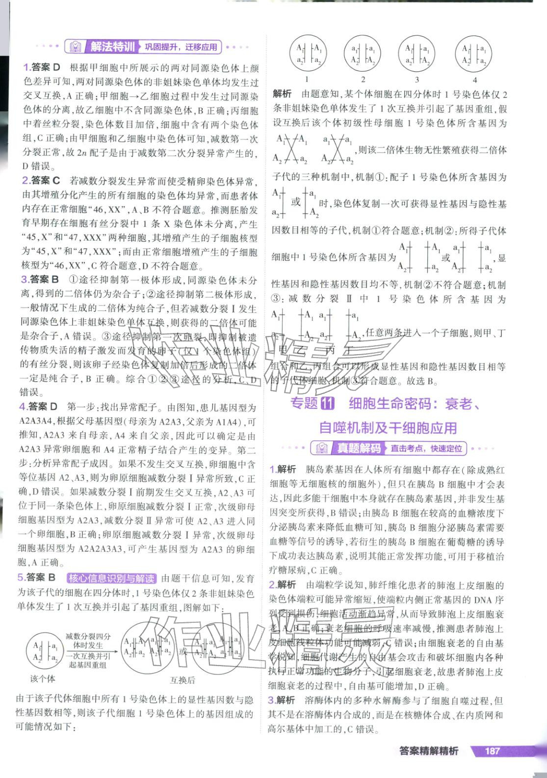 2026年53解法密钥高考生物 第9页