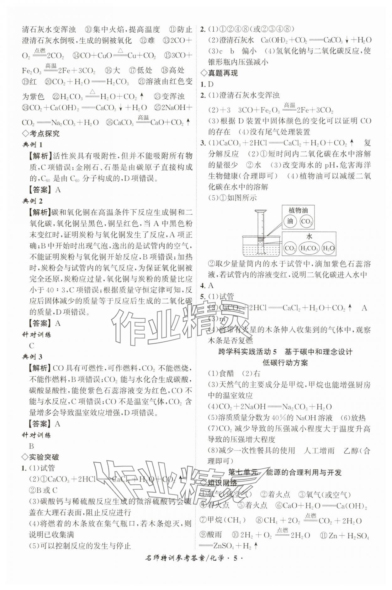 2025年名師特訓化學安徽專版 第5頁