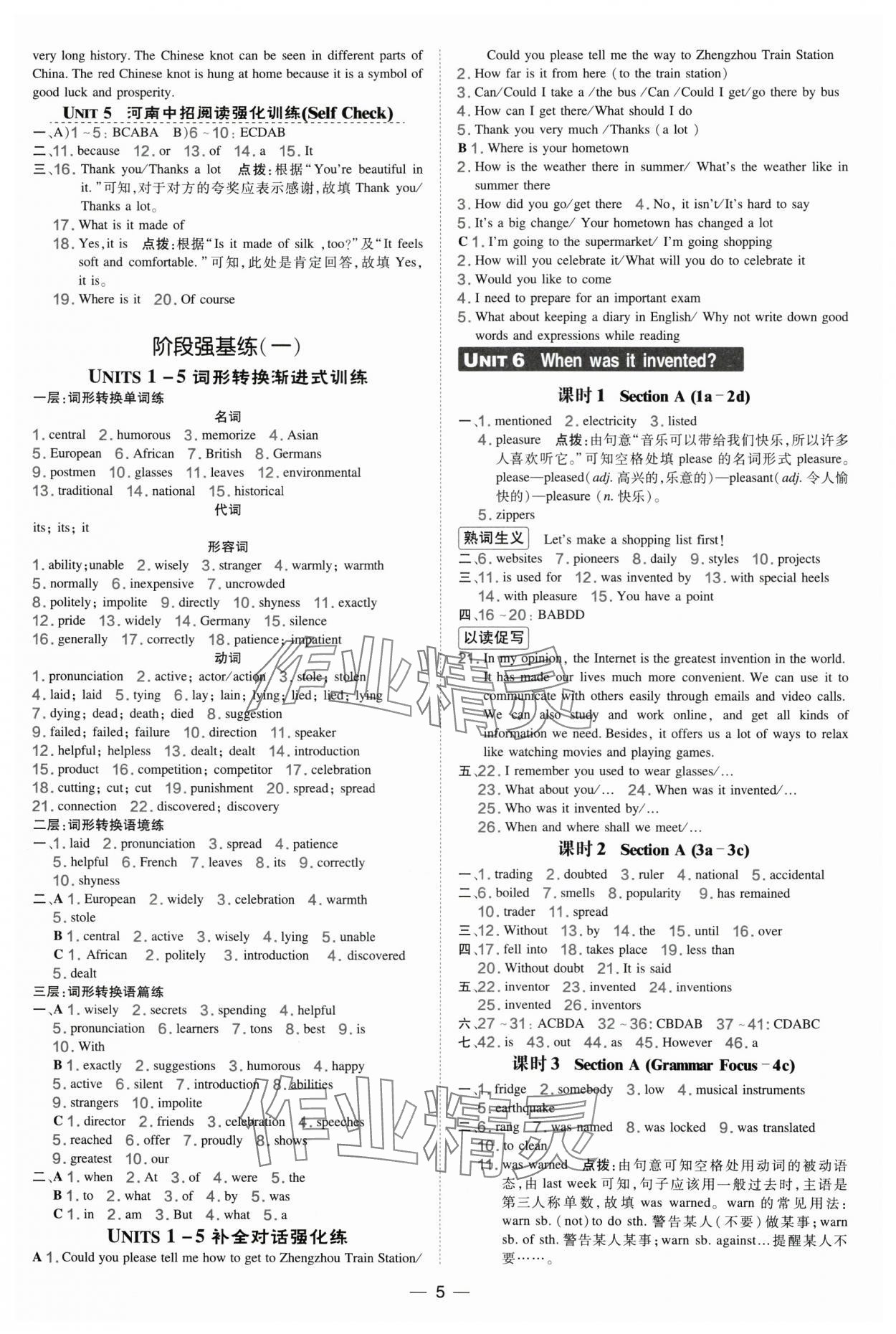 2025年点拨训练九年级英语全一册人教版河南专版 第5页