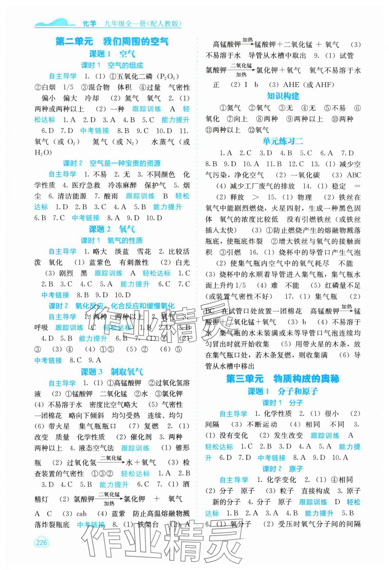 2023年自主学习能力测评九年级化学全一册人教版 第2页